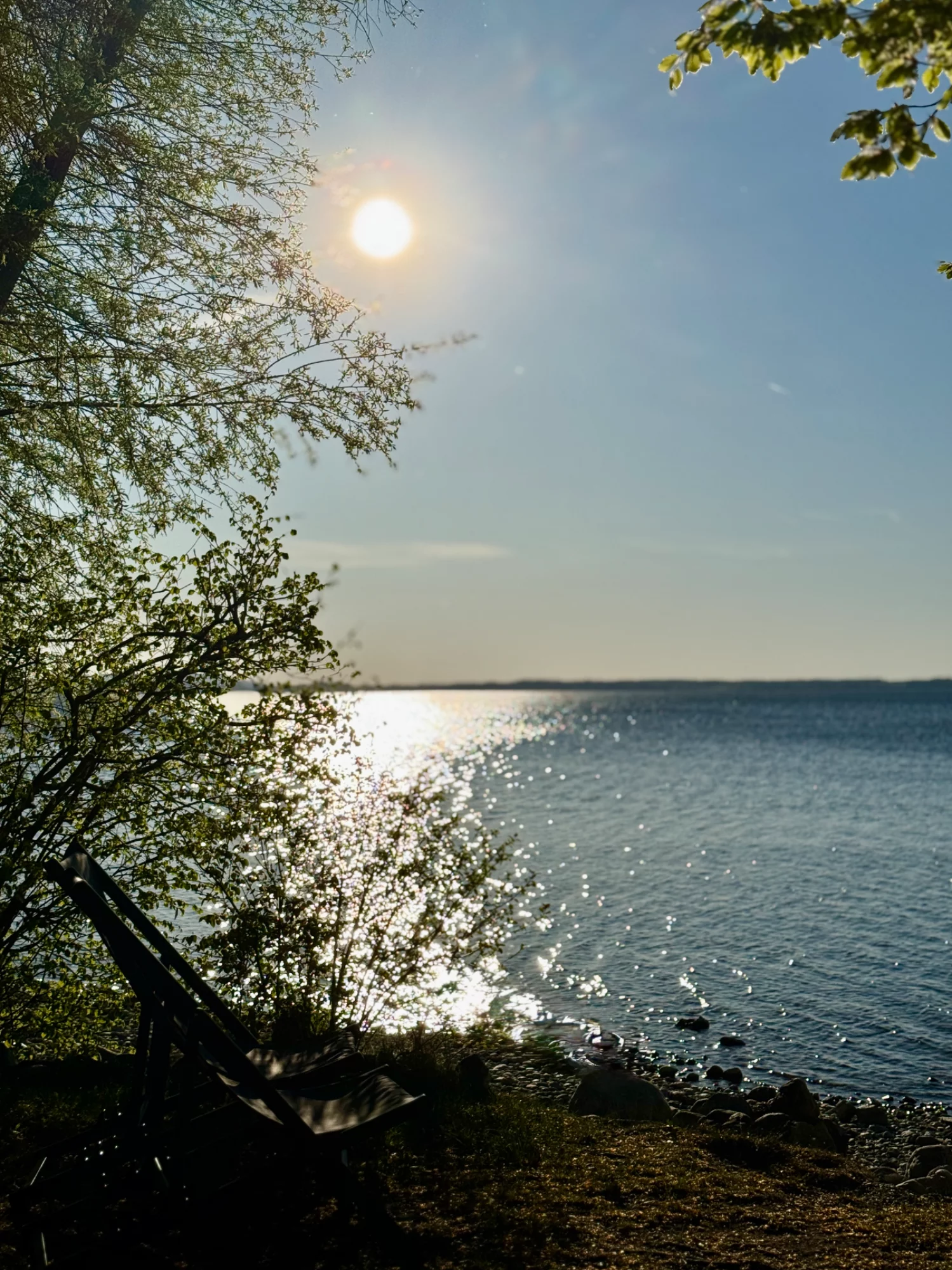 IMG_2878.webp