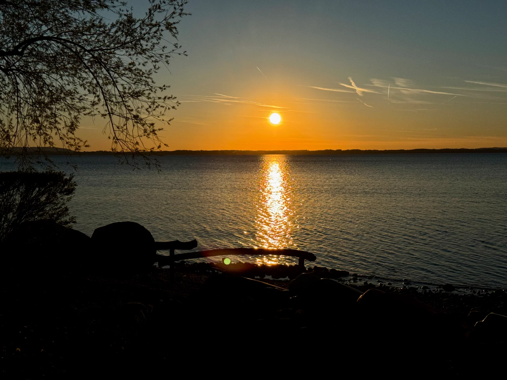 IMG_2881.webp