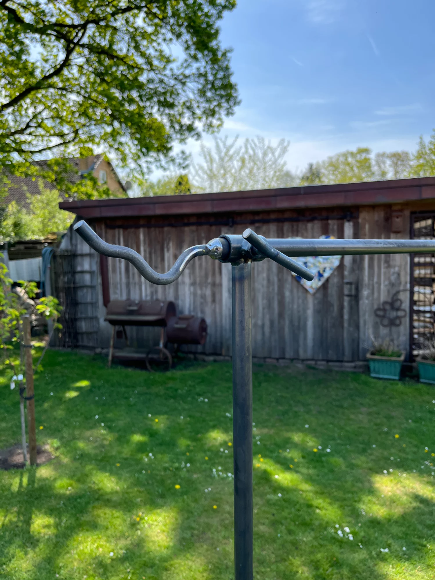 IMG_3003.webp