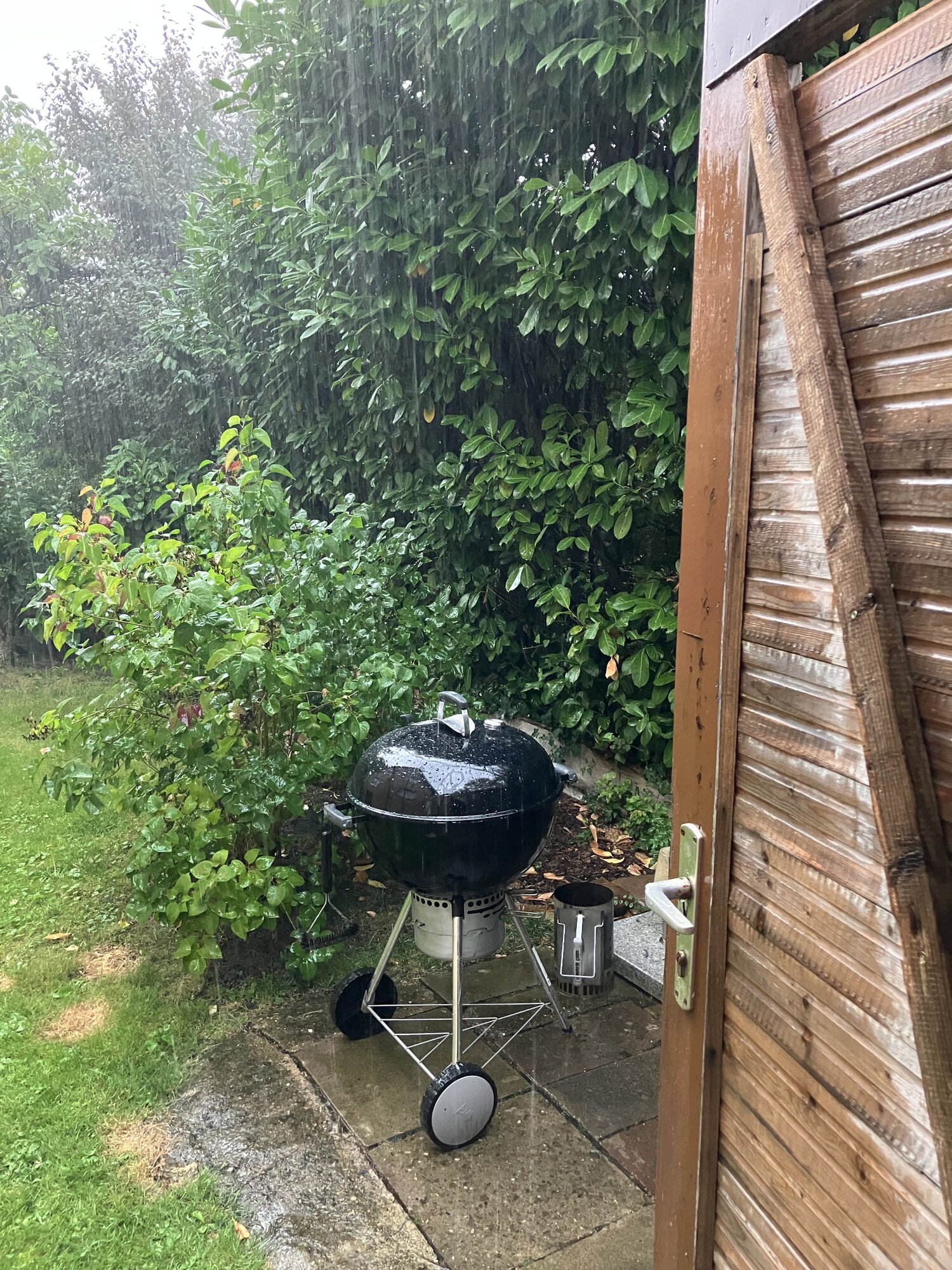 IMG_3093.jpeg