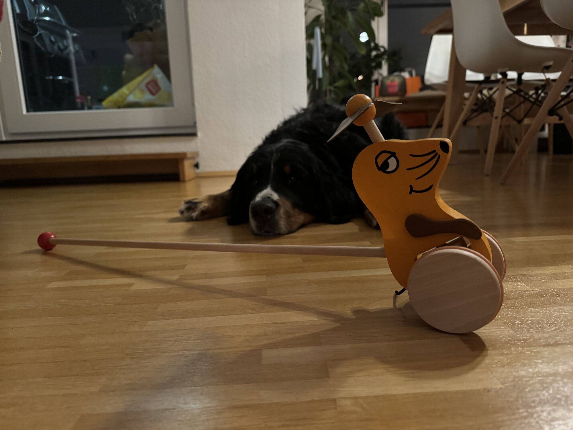 IMG_3330.jpeg