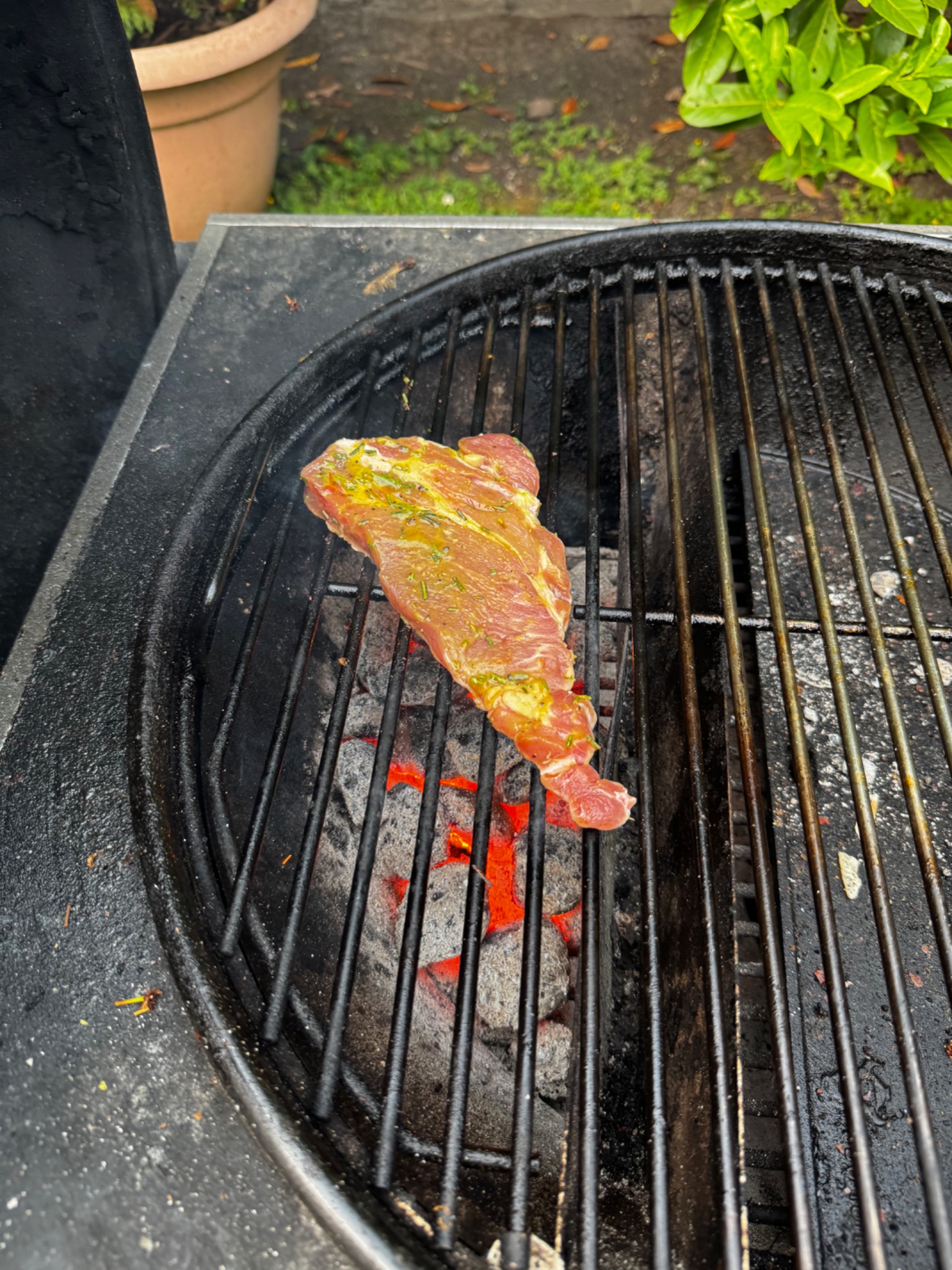 IMG_3729.jpeg