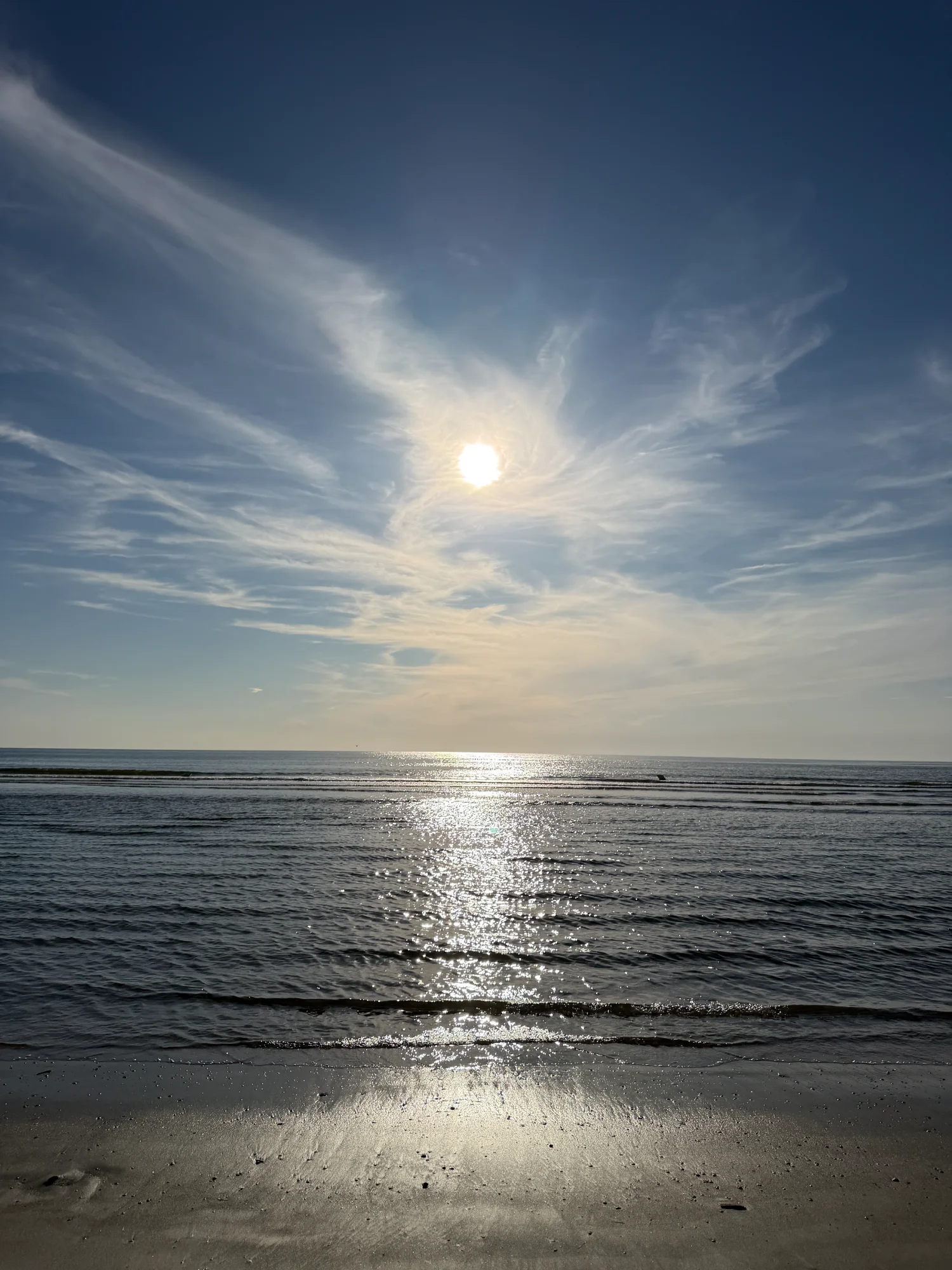 IMG_3814.webp