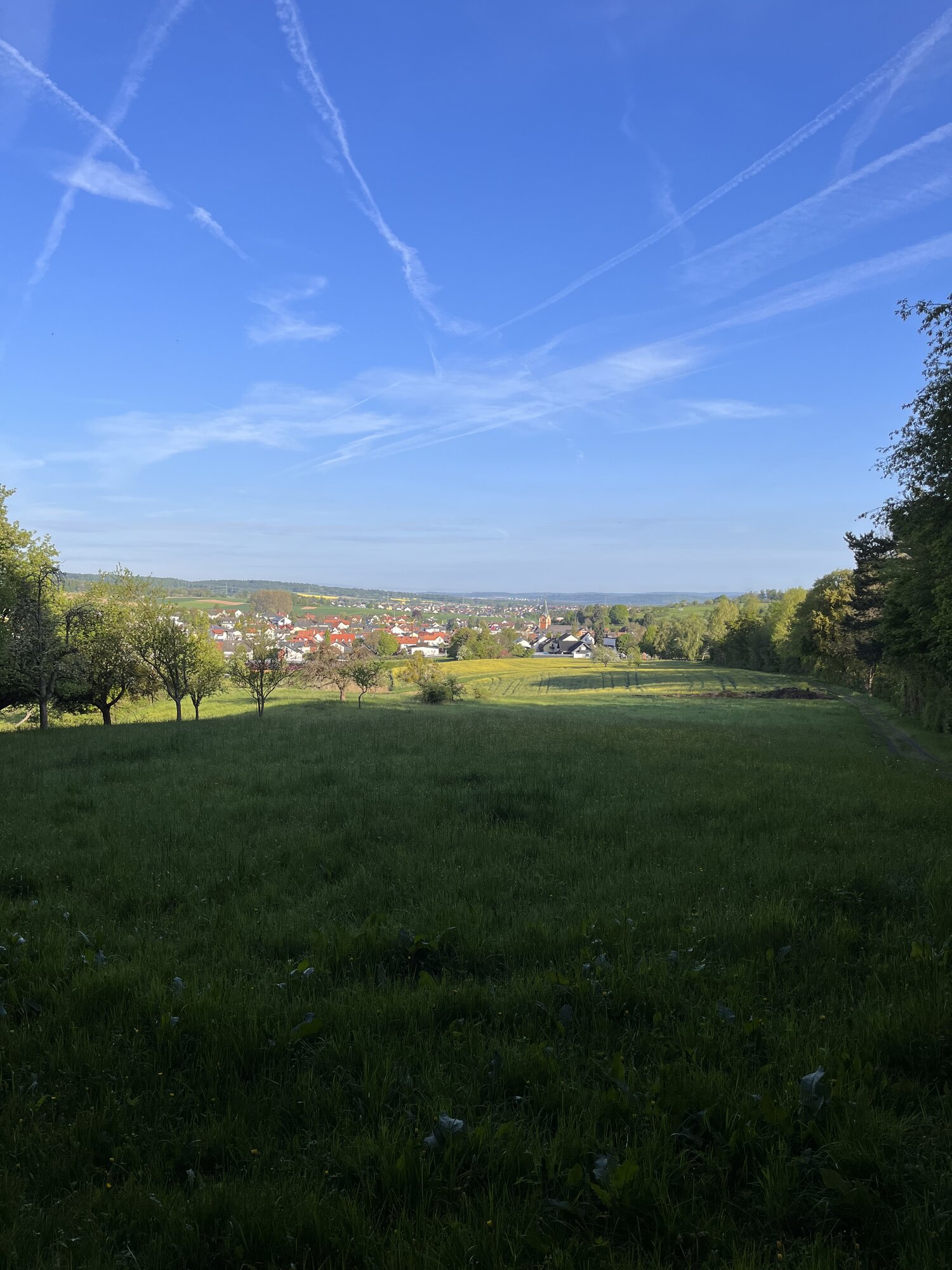IMG_3883.jpeg