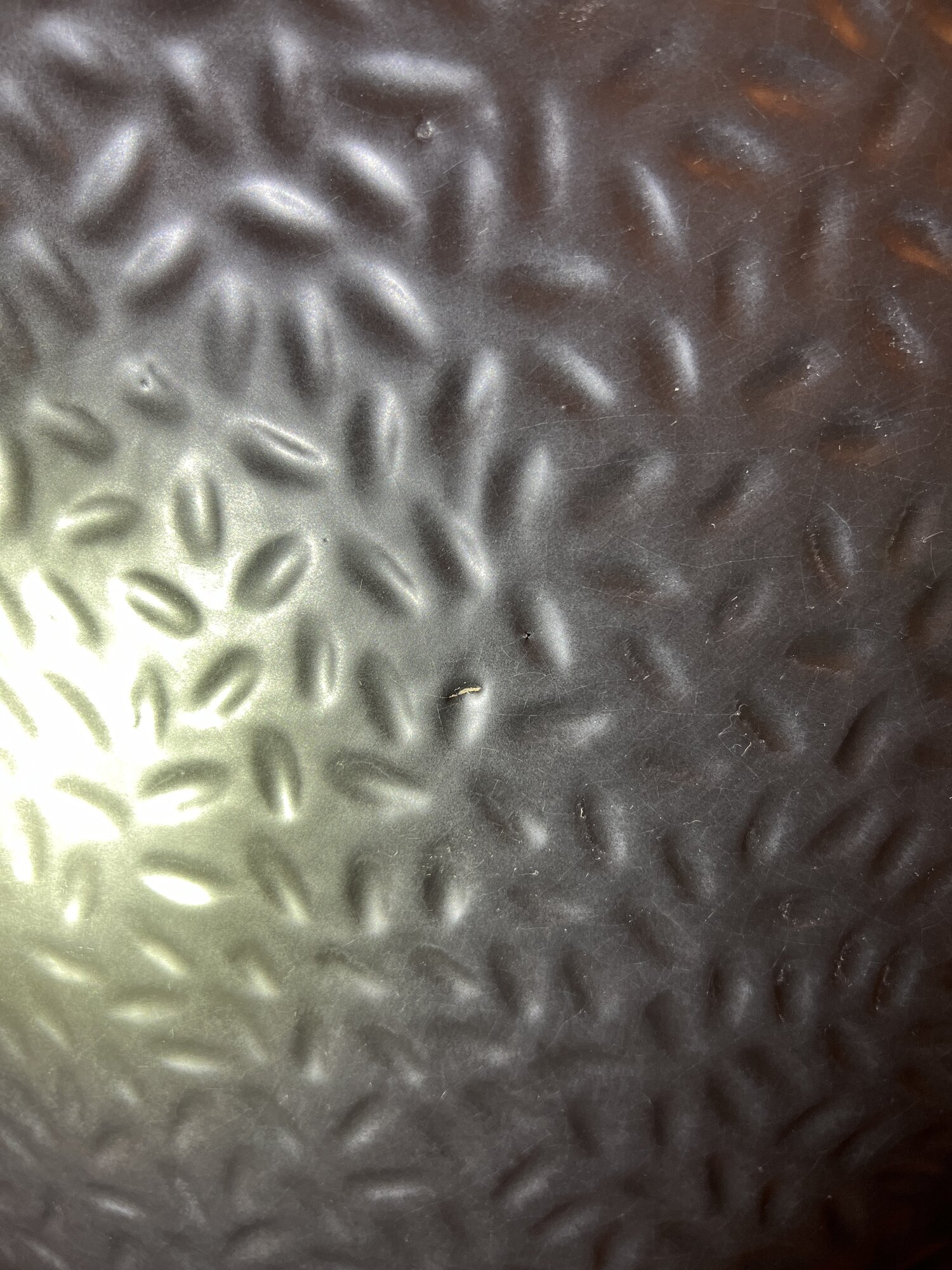 IMG_3930.jpeg