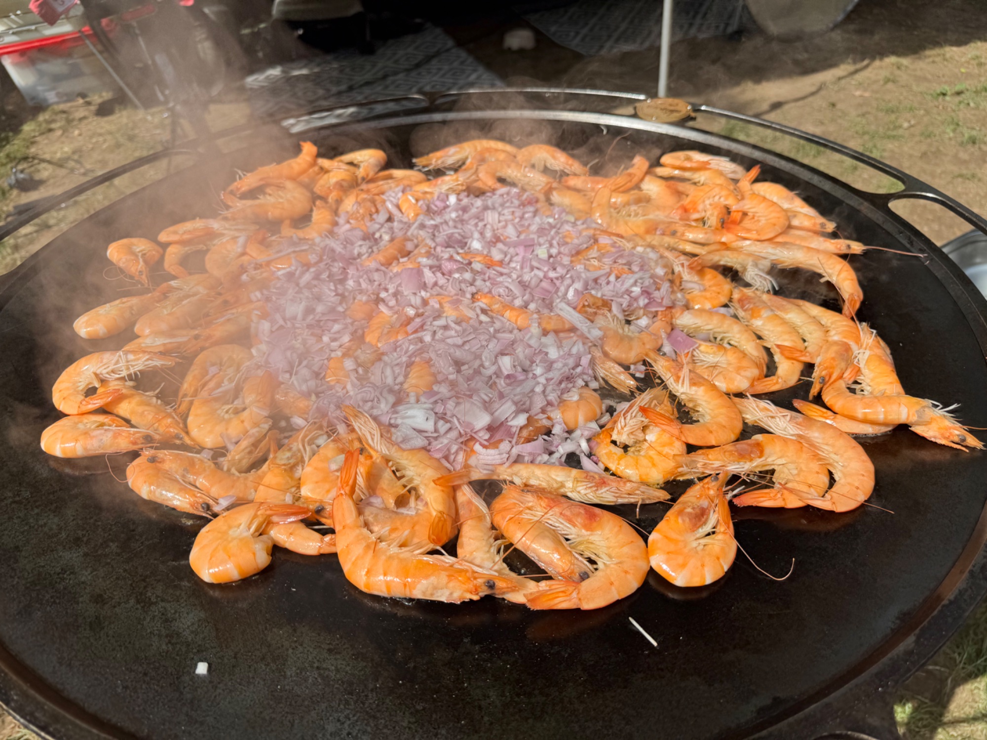 IMG_3955.jpeg