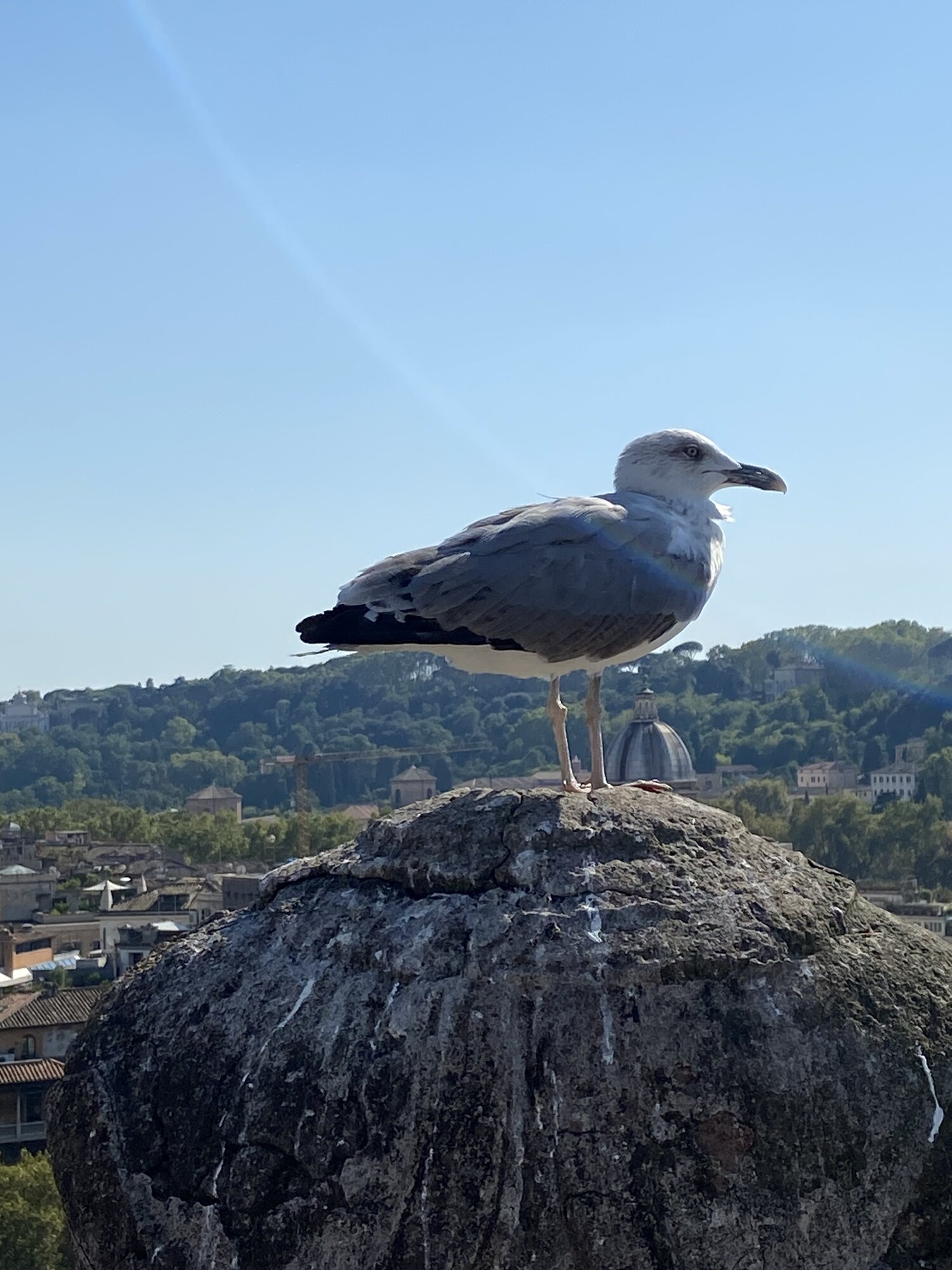 IMG_4104.jpeg