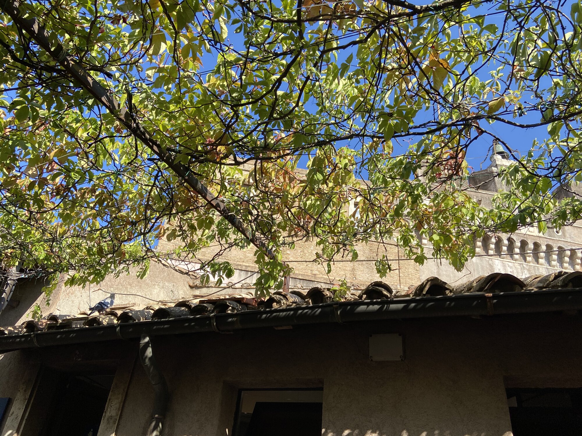IMG_4112.jpeg