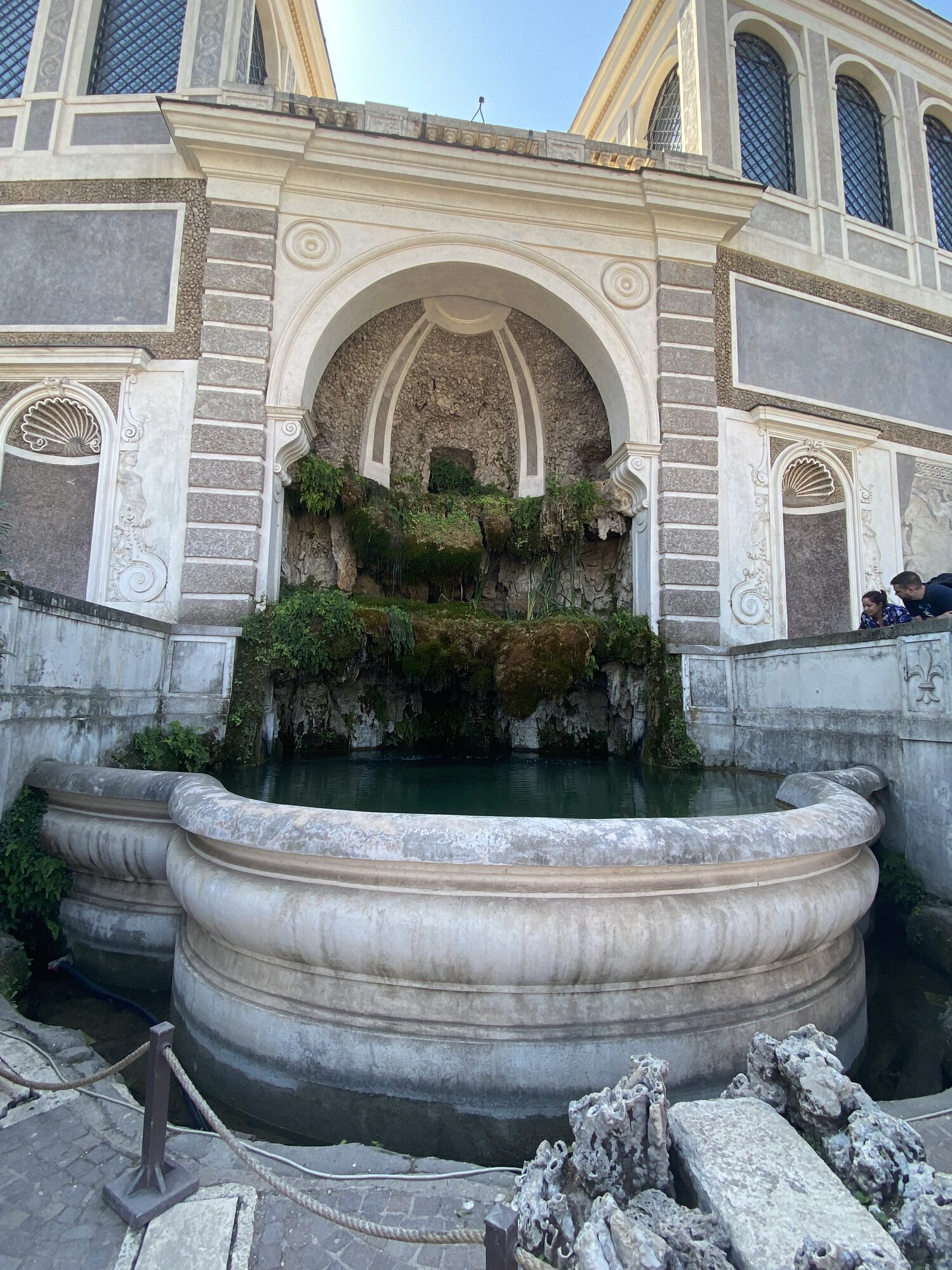 IMG_4178.jpeg