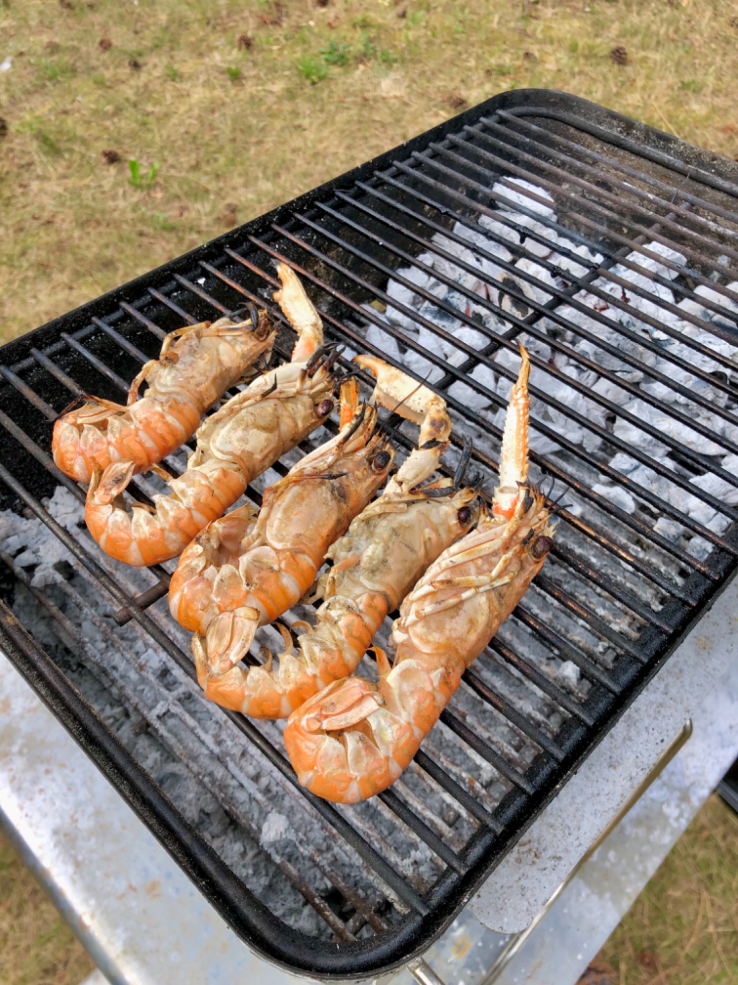 IMG_4208.jpeg