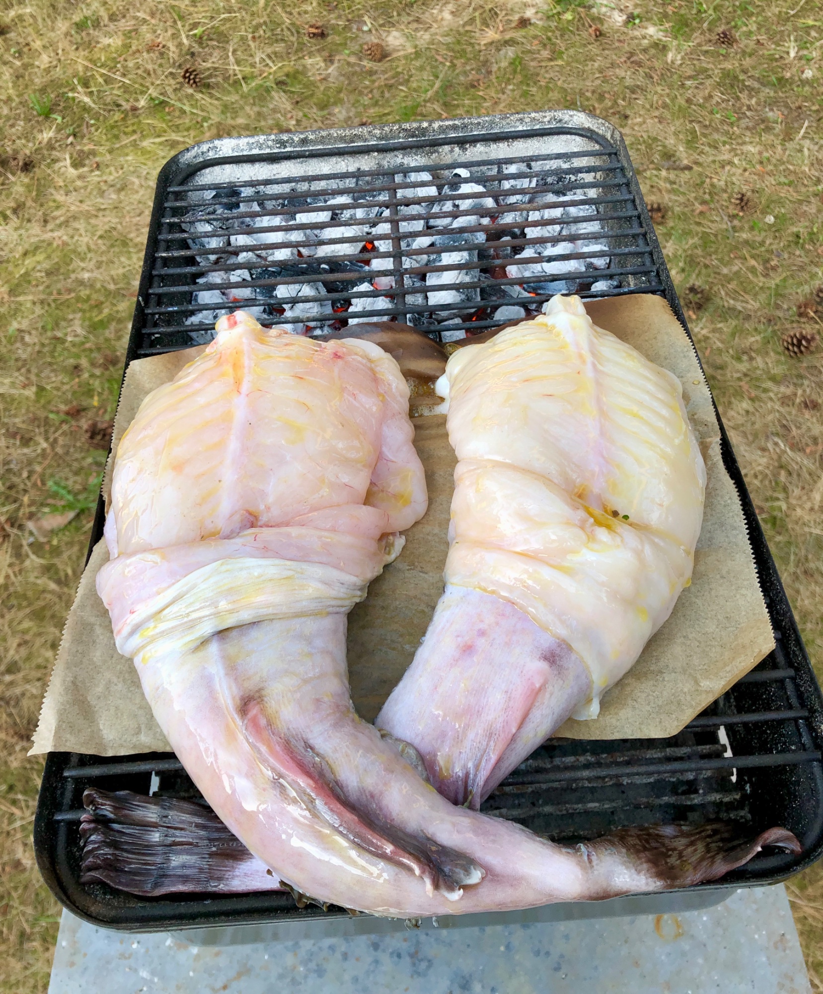 IMG_4229.jpeg