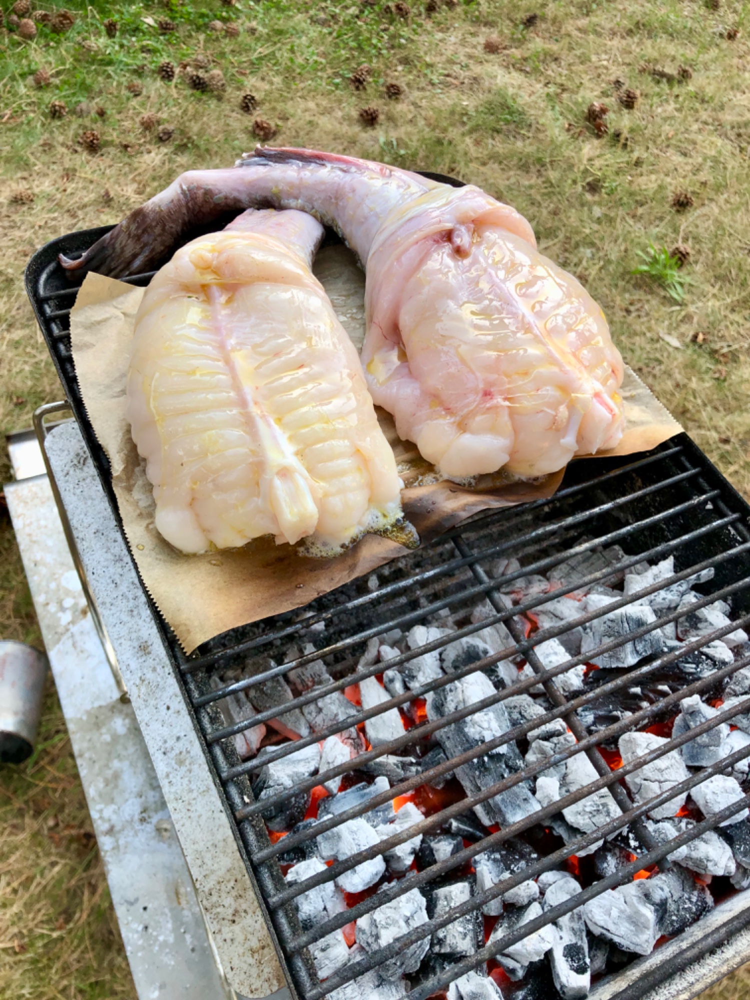 IMG_4230.jpeg