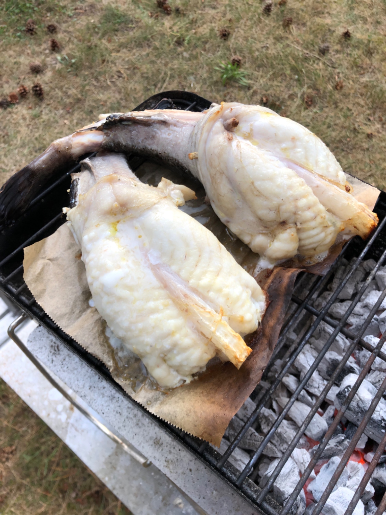 IMG_4231.jpeg