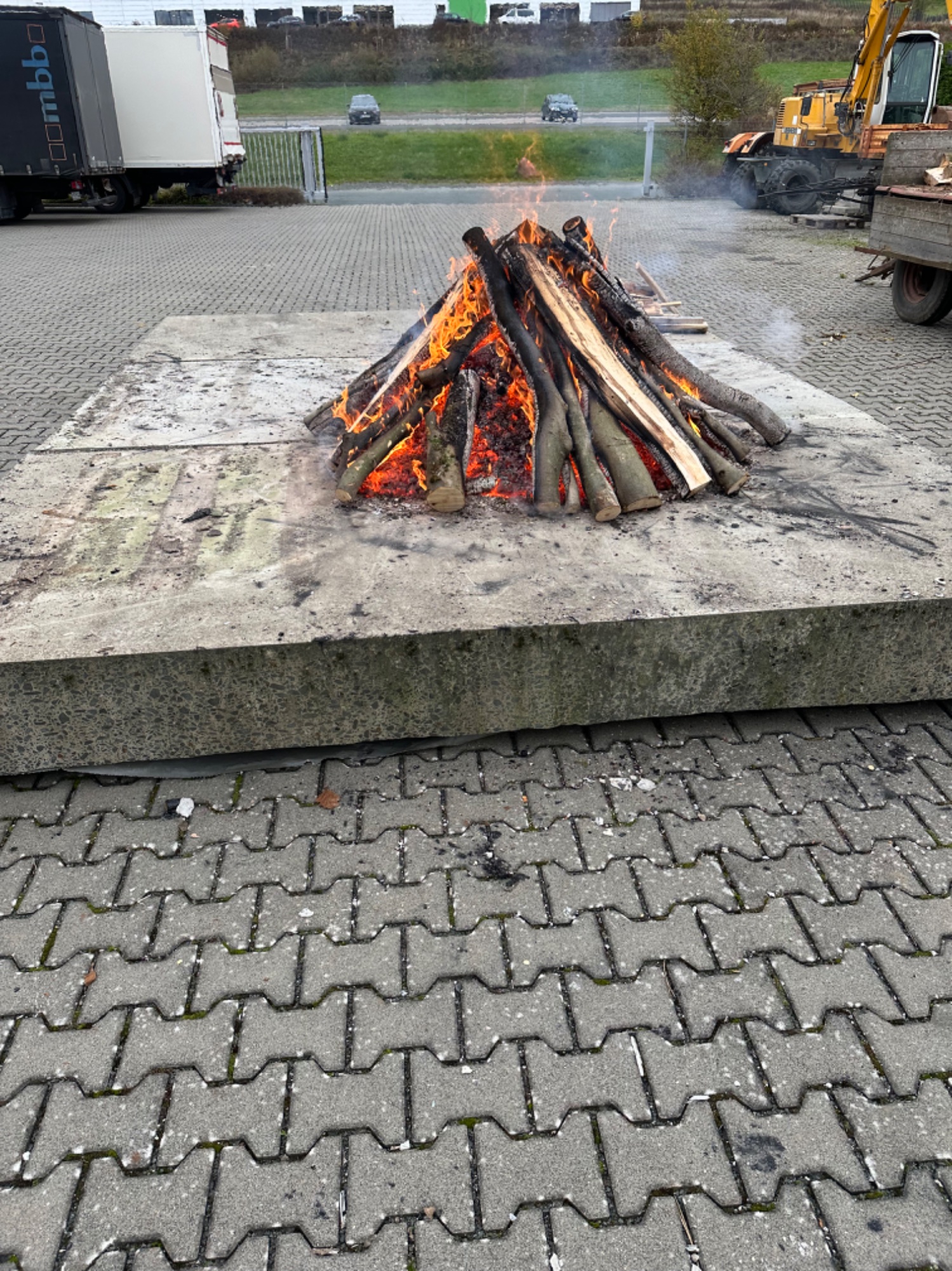 IMG_4246.jpeg