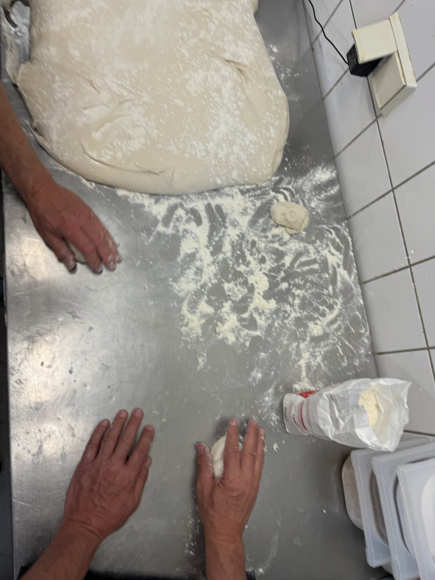 IMG_4381.jpeg