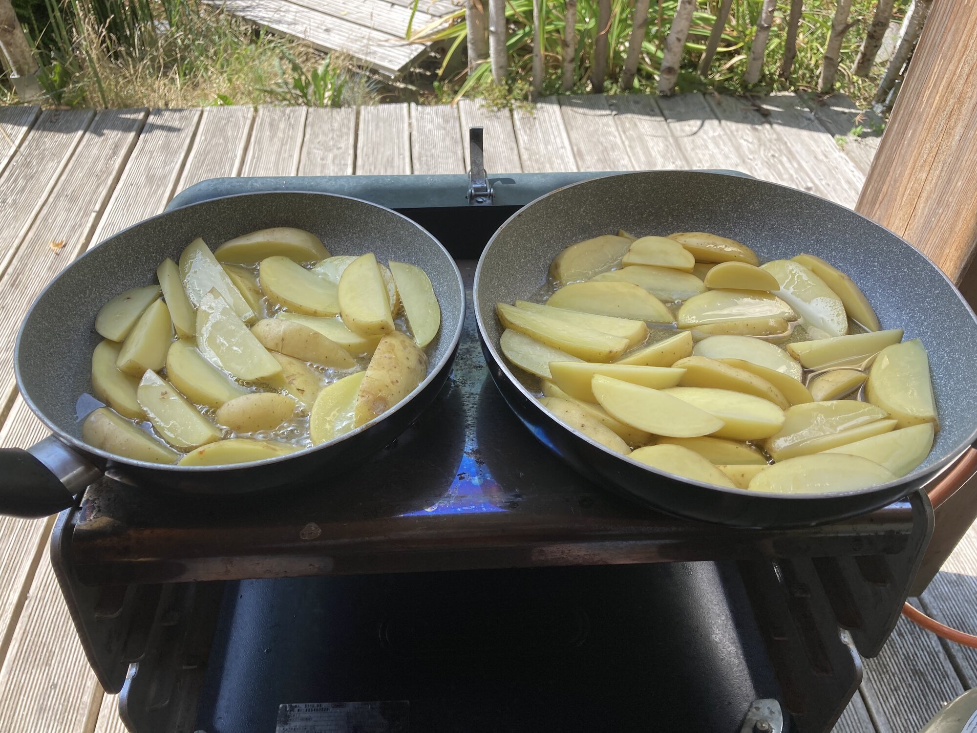 IMG_4451.jpeg