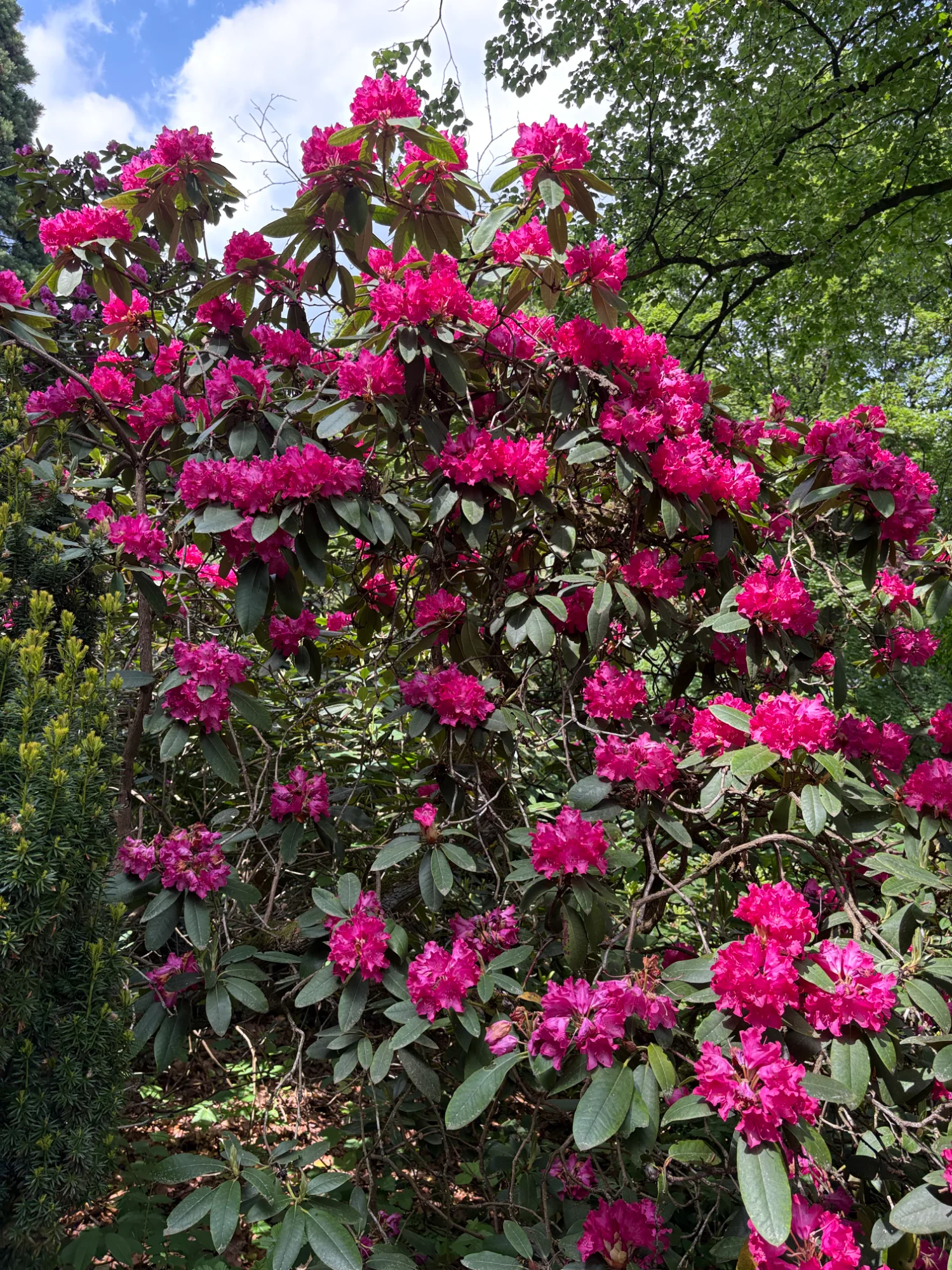 IMG_4672.webp