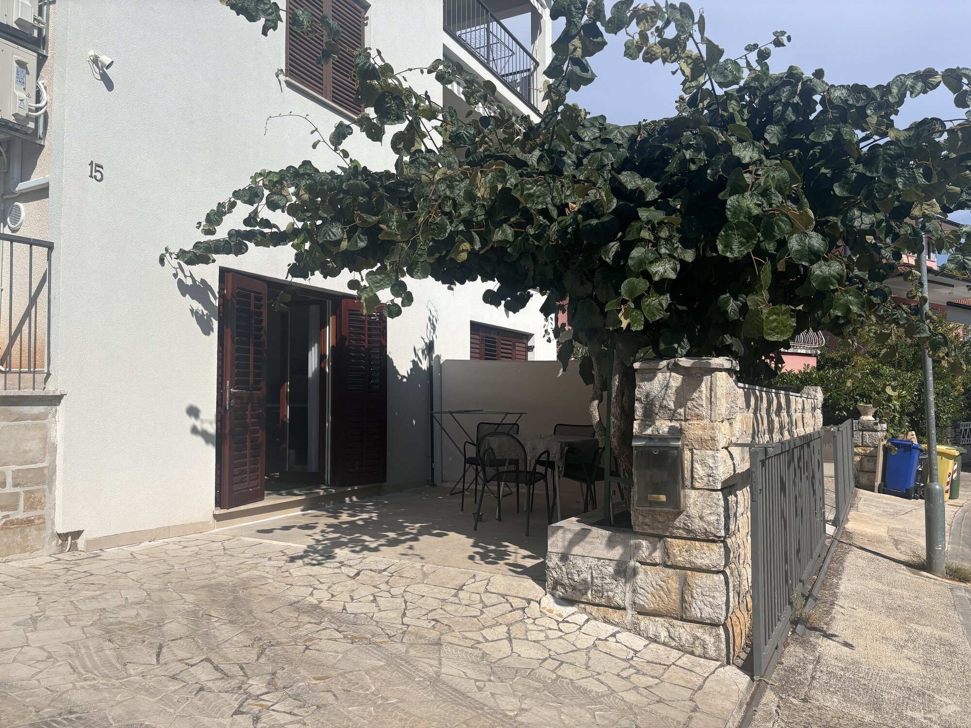 IMG_4687.jpeg