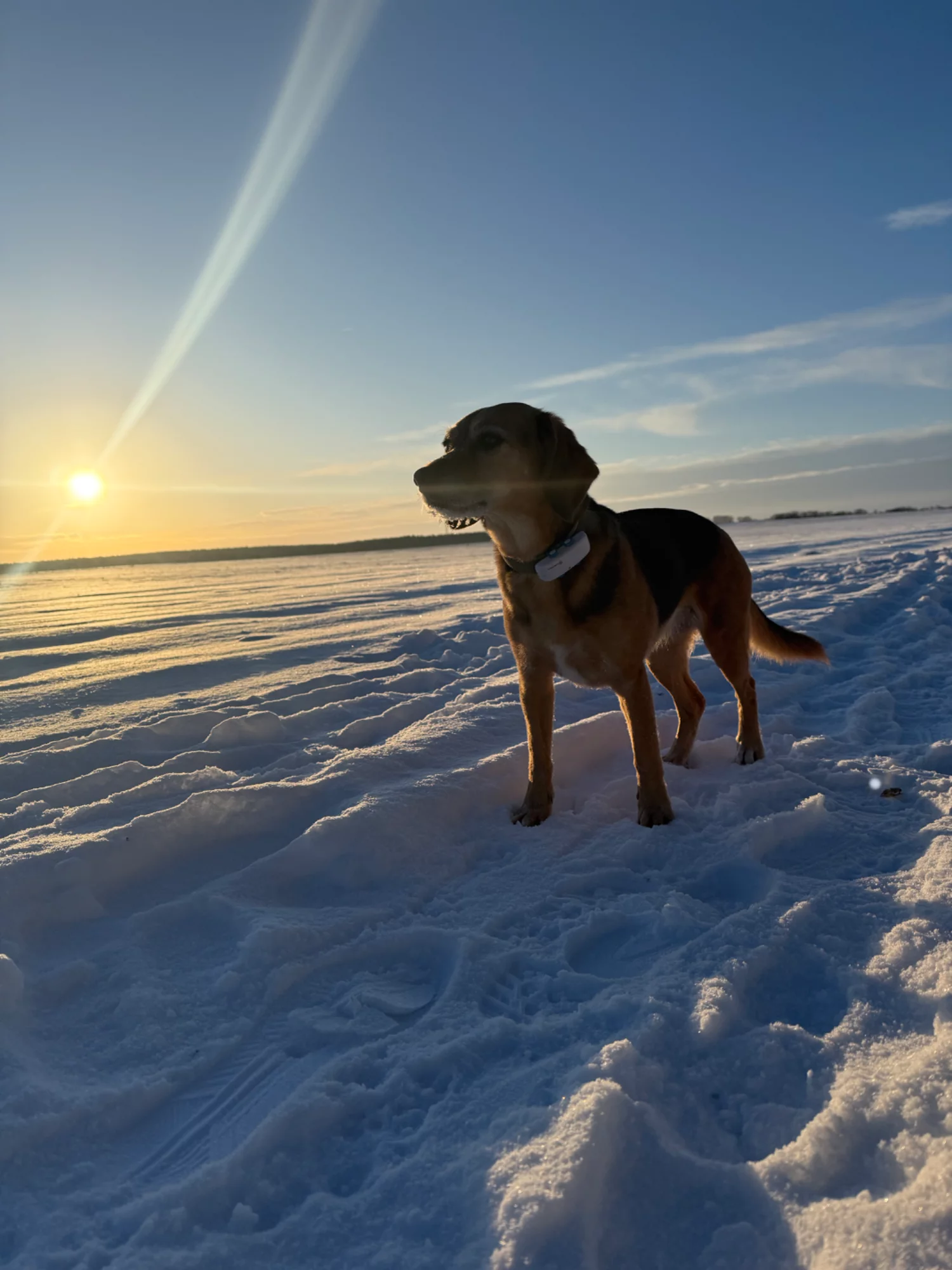 IMG_4693.webp