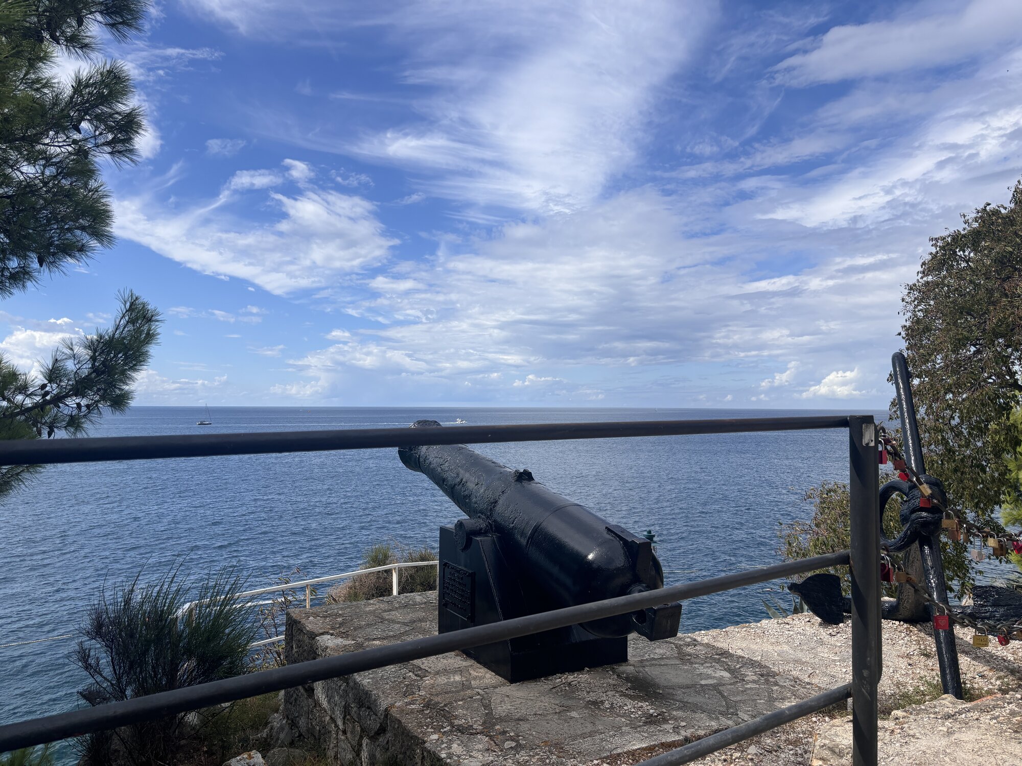 IMG_4734.jpeg