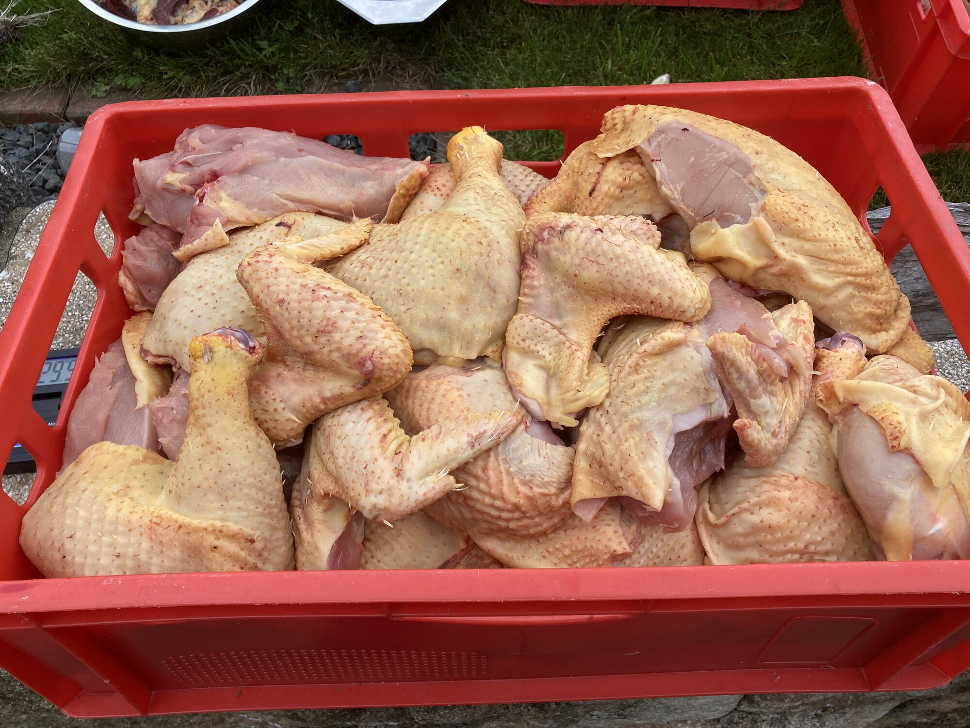 IMG_4796.jpeg