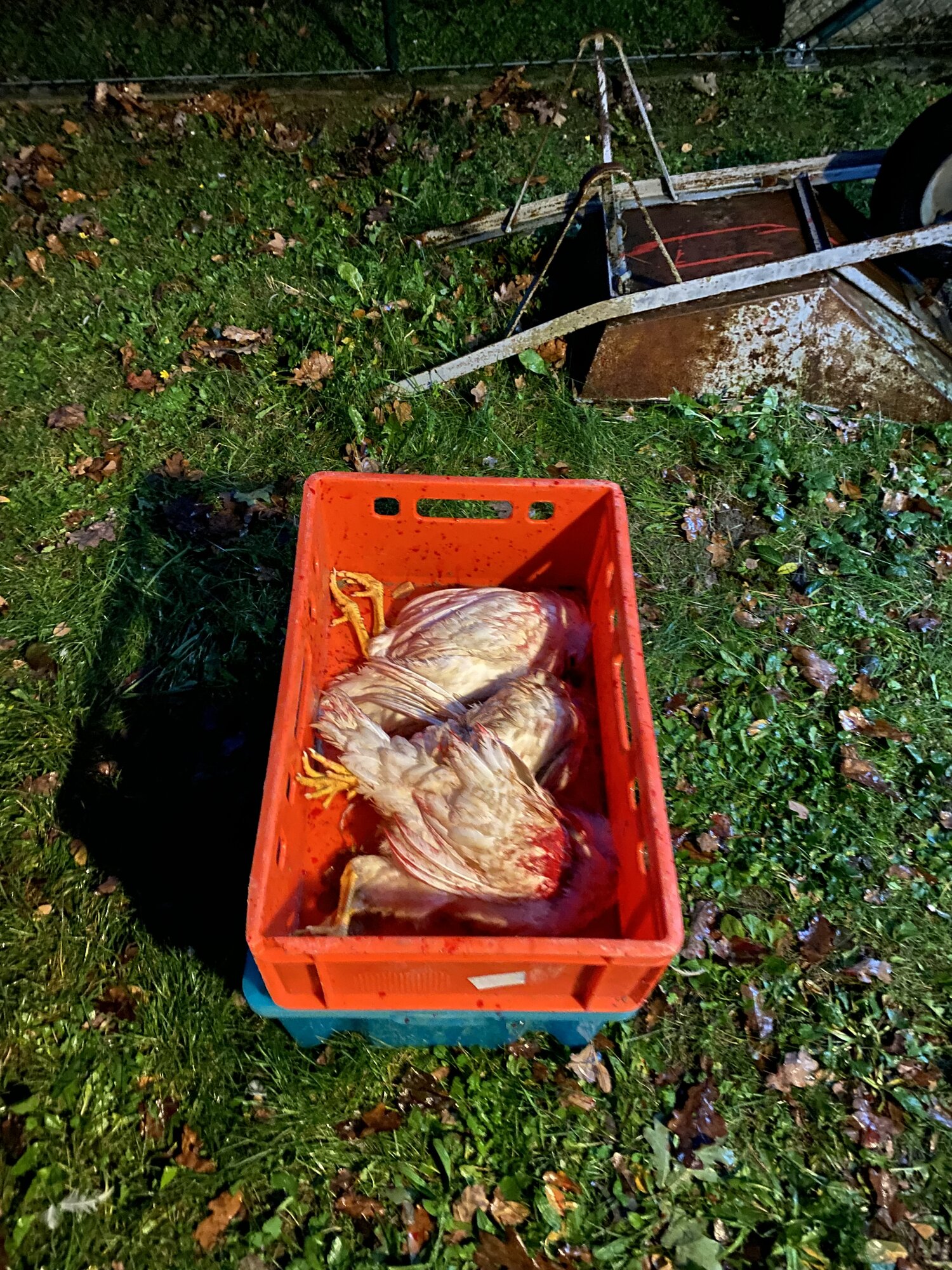 IMG_4853.jpeg