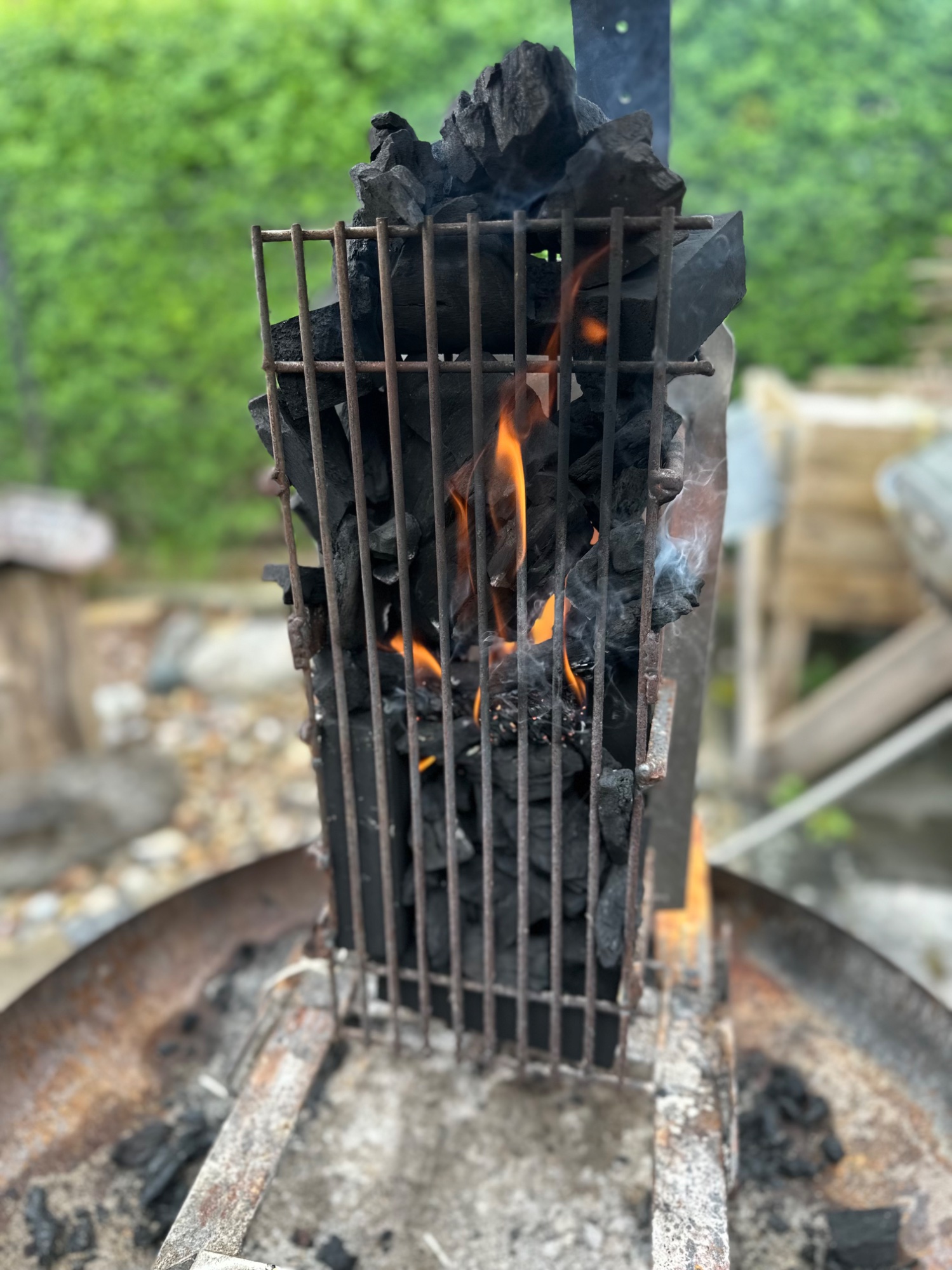 IMG_5300.jpeg