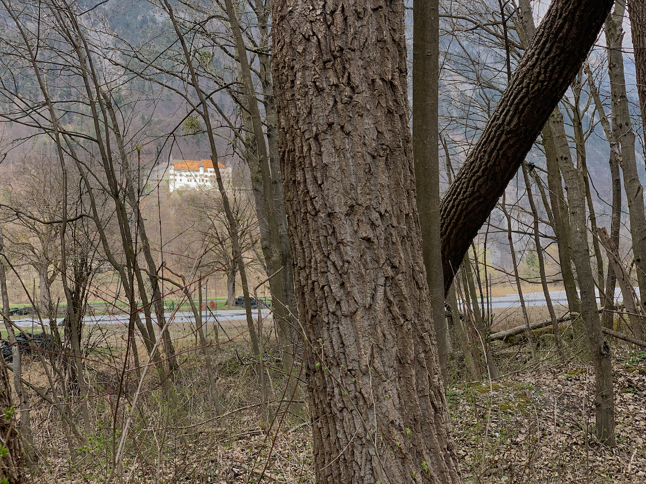 IMG_5303.png