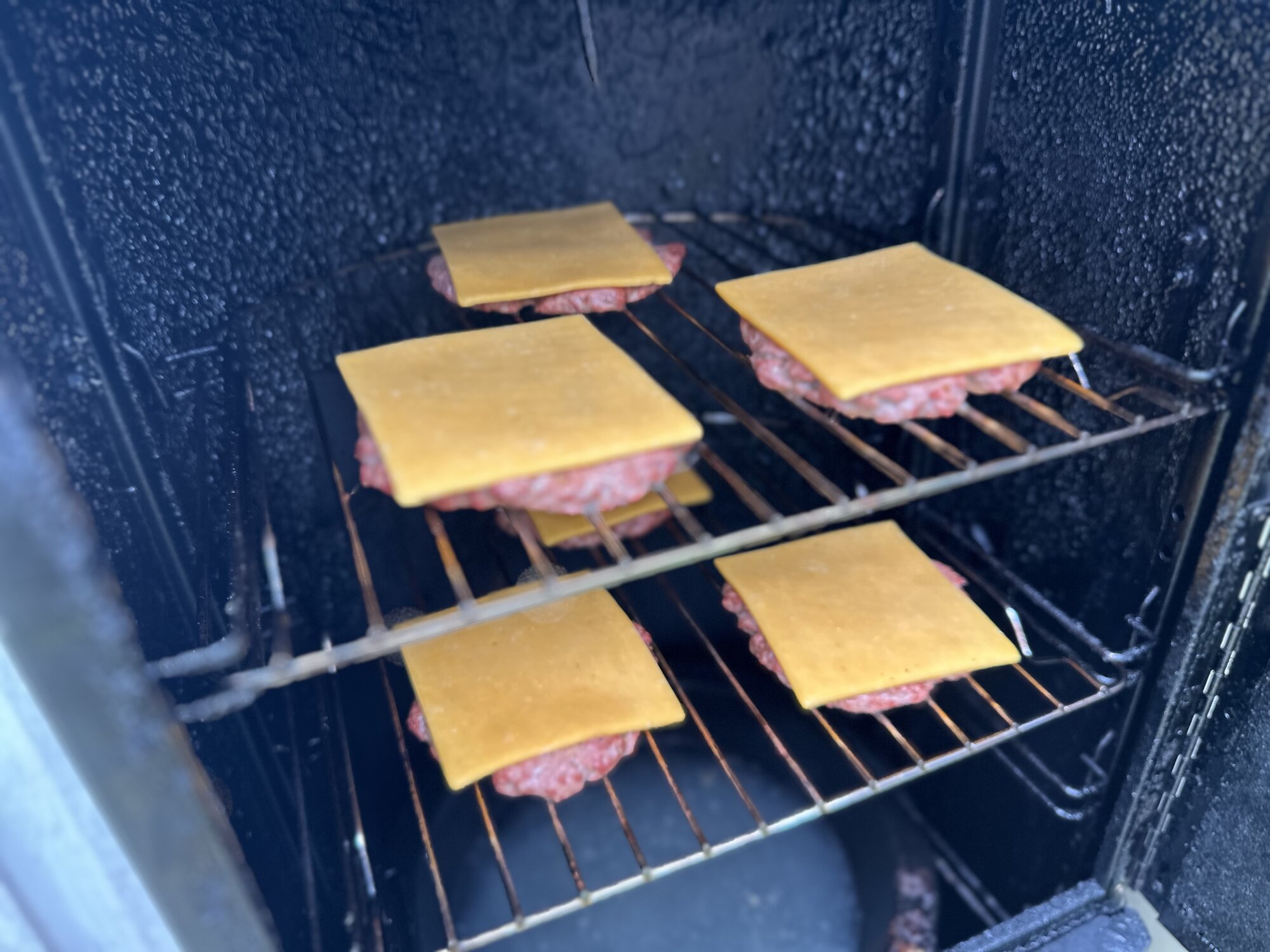 IMG_5686.jpeg