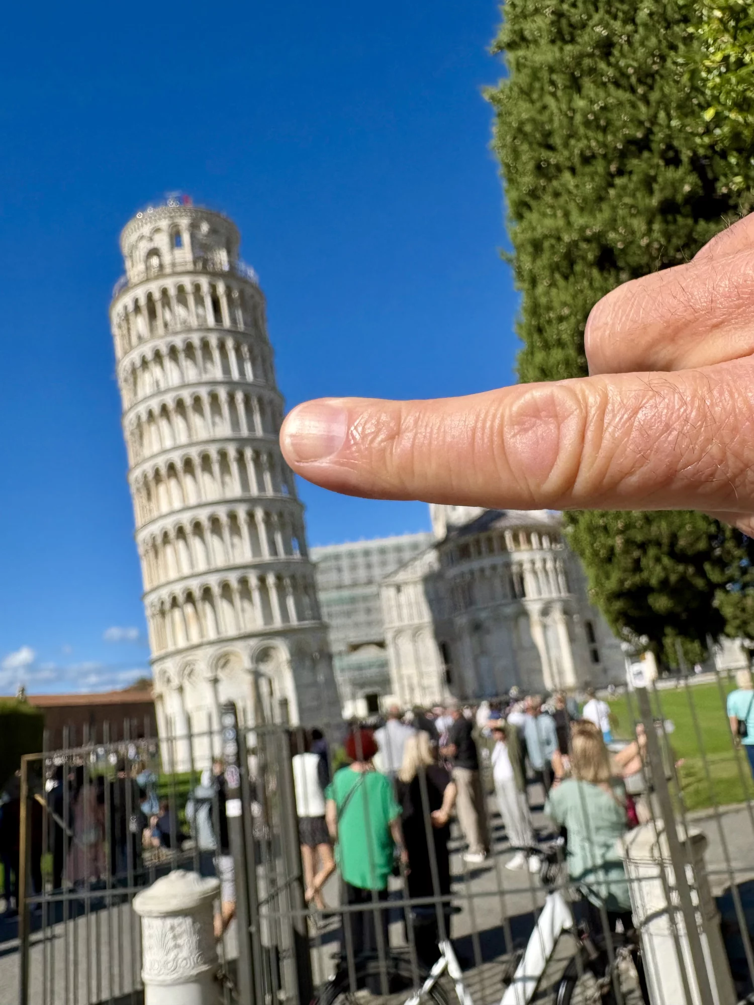 IMG_6546.webp