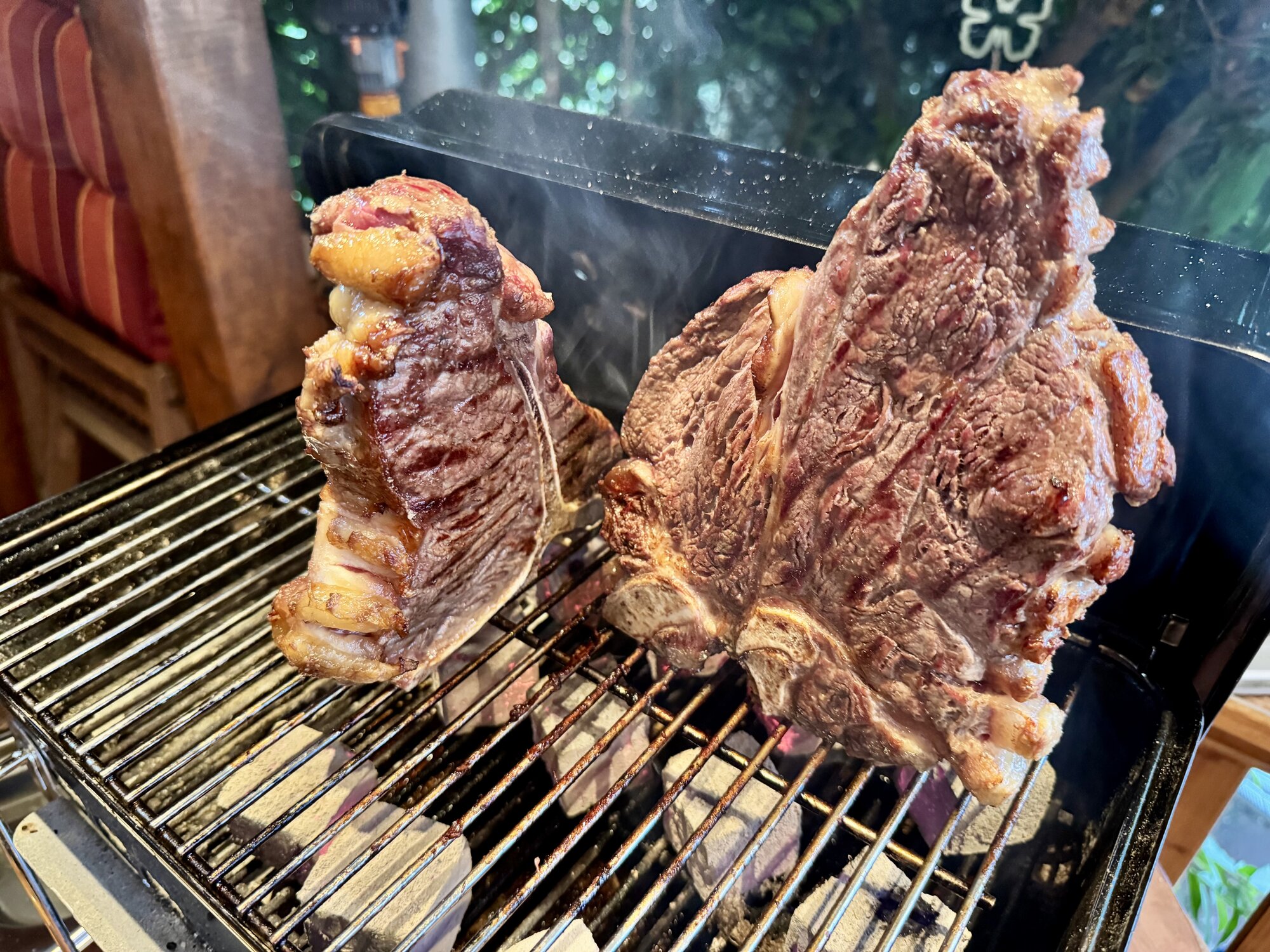 IMG_6636.jpeg