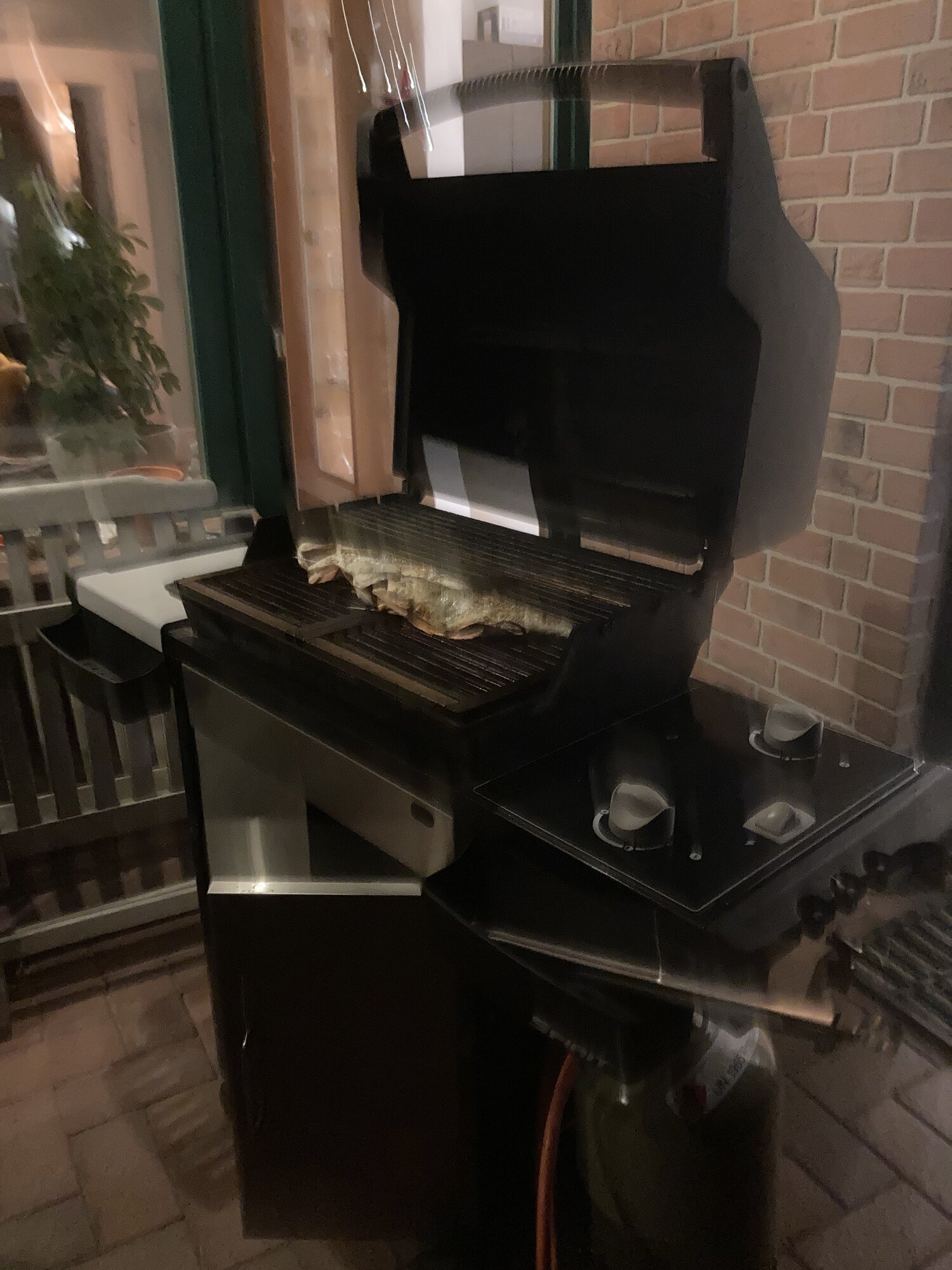 IMG_6879.jpeg