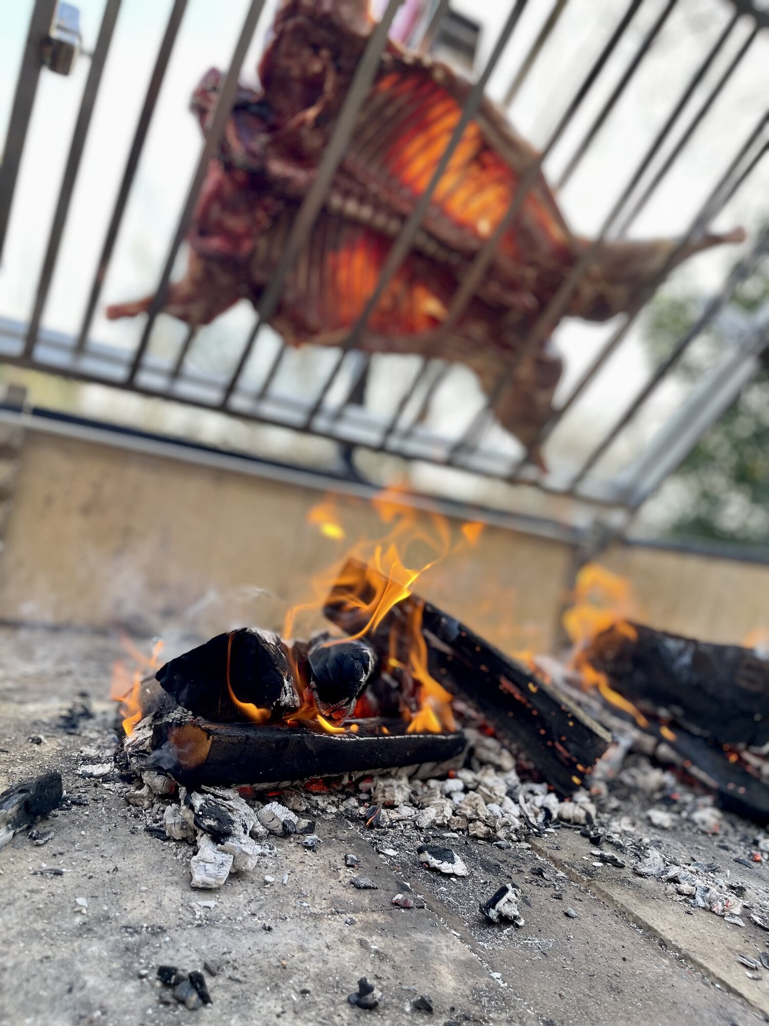 IMG_7361.jpeg
