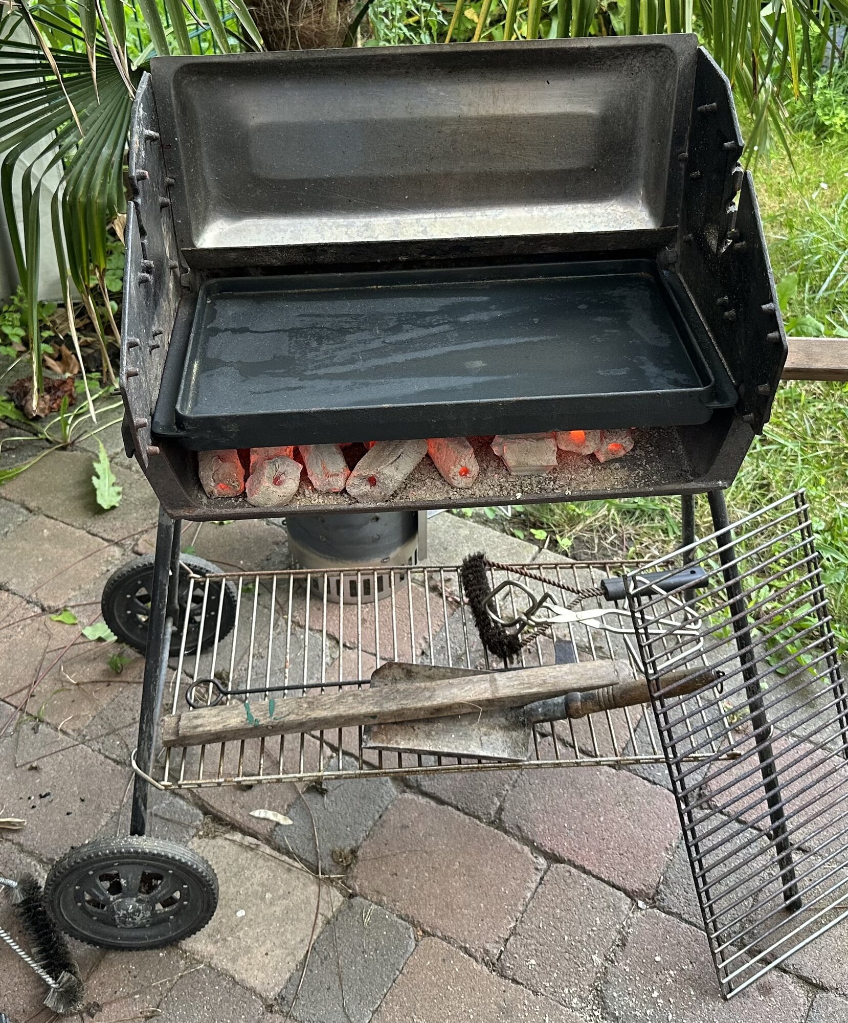IMG_7666.jpeg