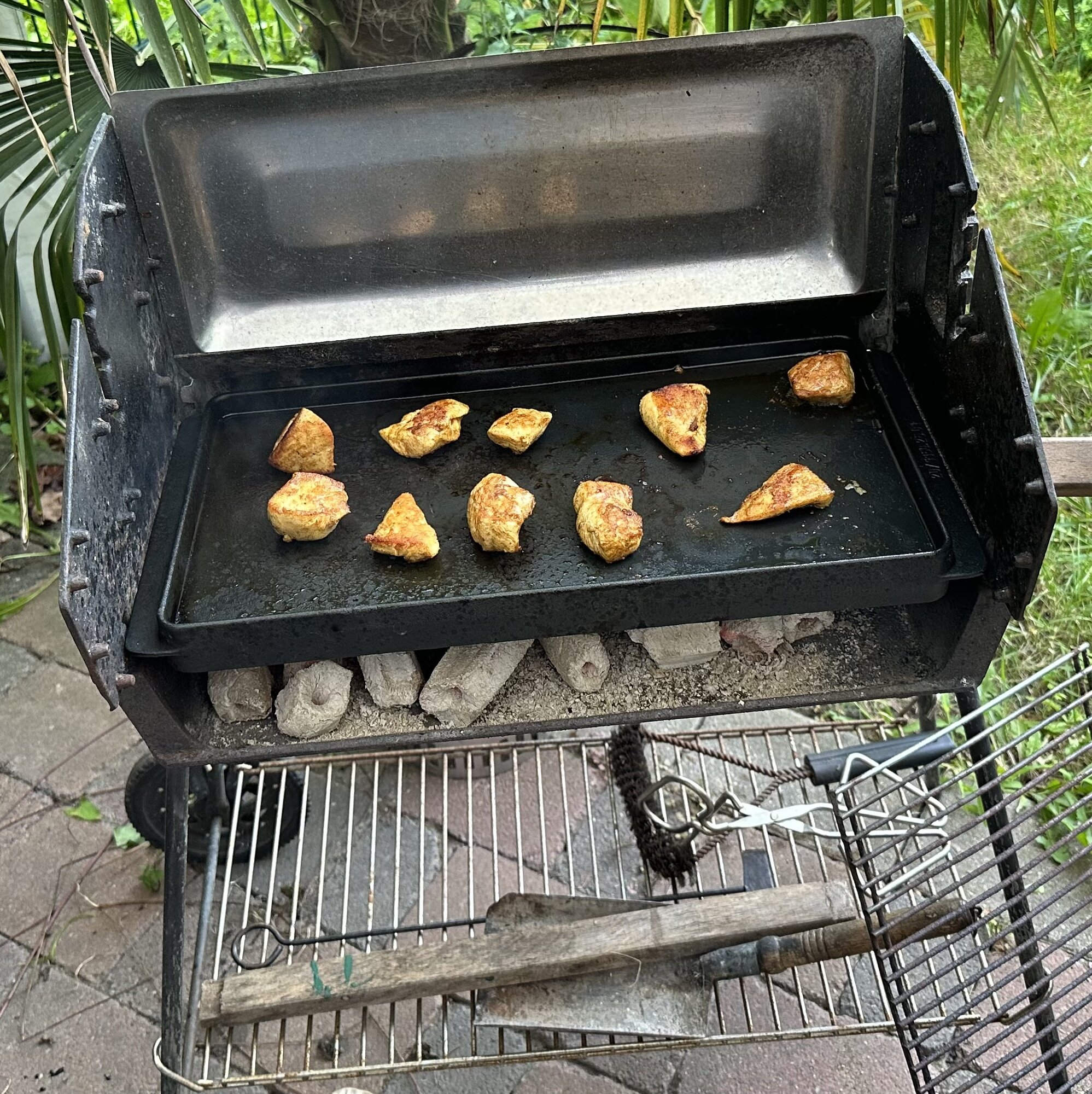 IMG_7667.jpeg