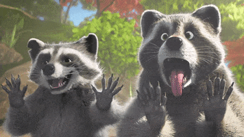 IMG_7668.gif