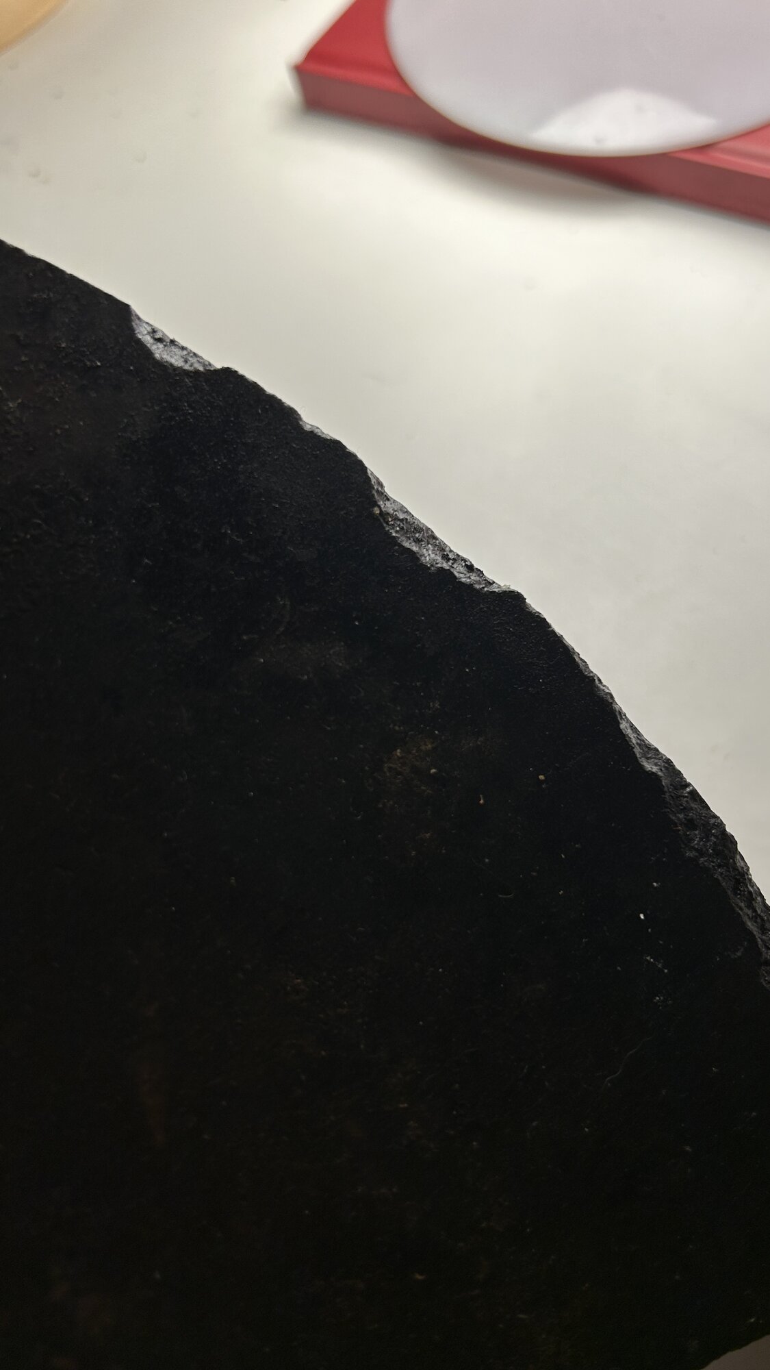 IMG_7715.jpeg