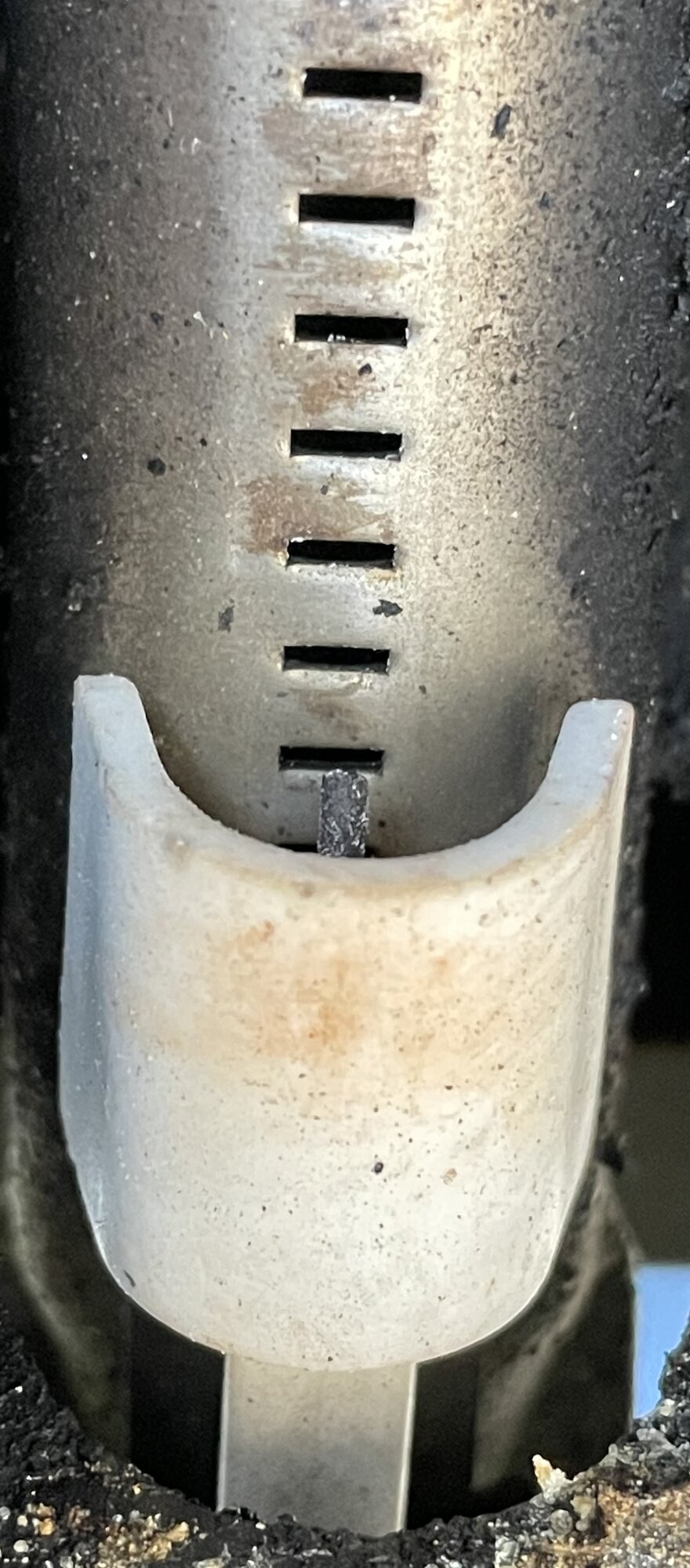 IMG_8266.jpeg