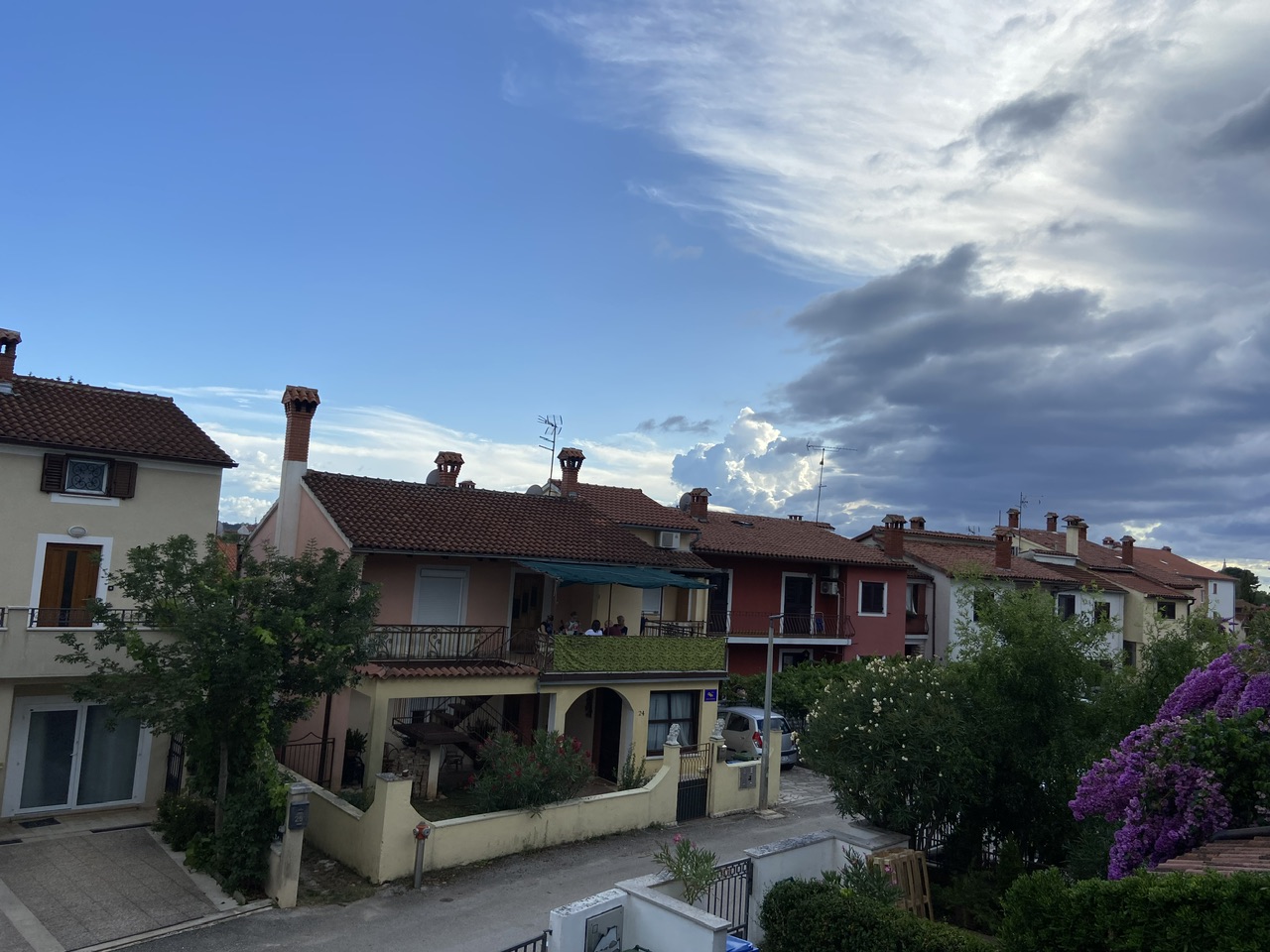 IMG_8323.jpeg