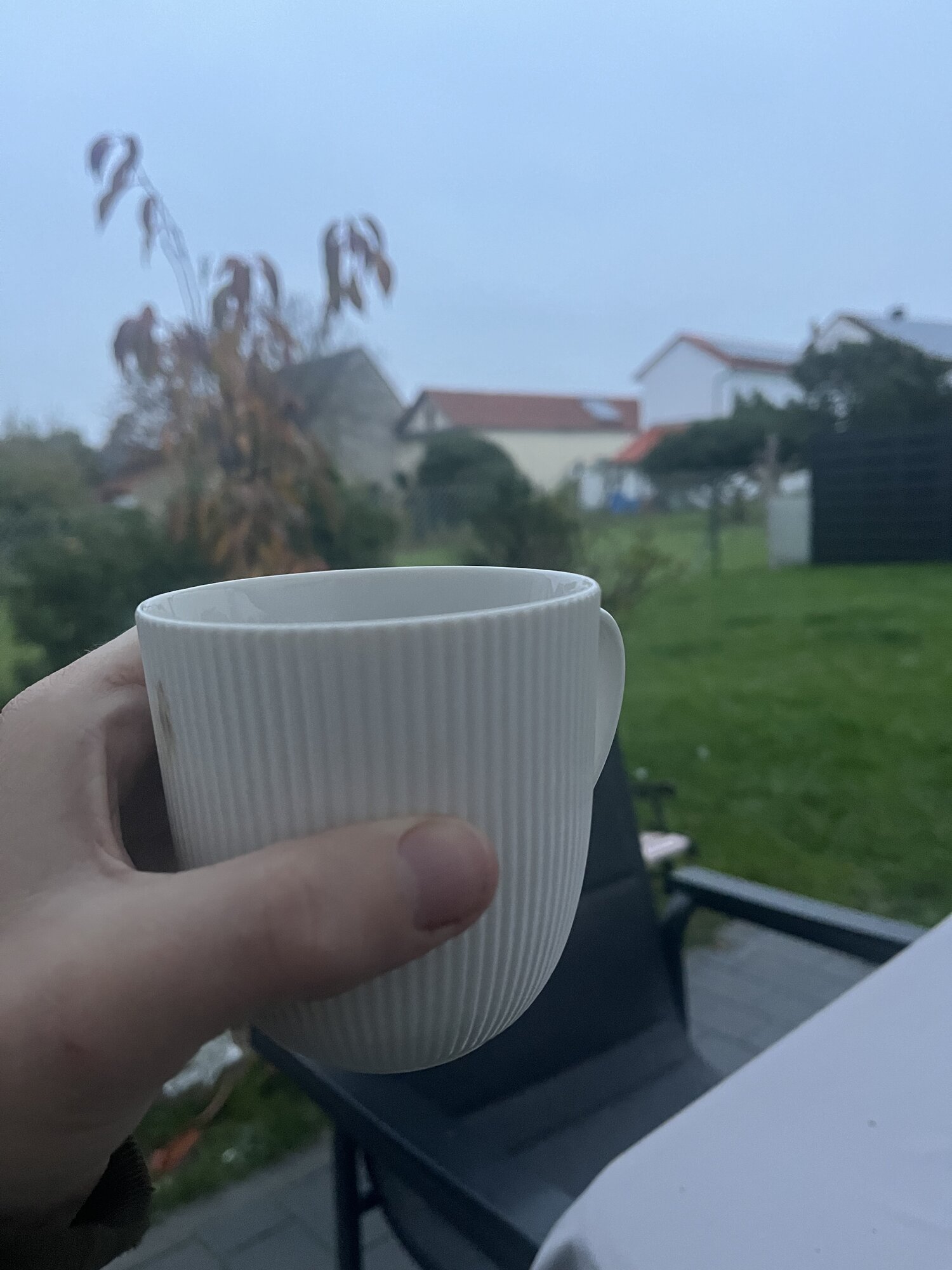 IMG_8712.jpeg