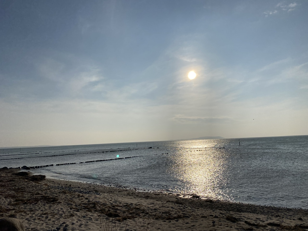 IMG_9211.jpeg