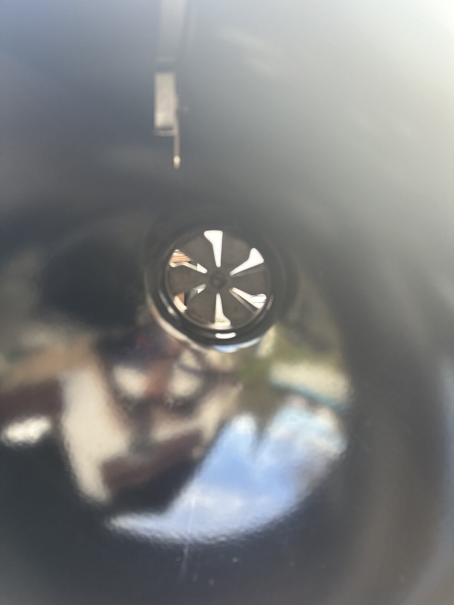 IMG_9754.jpeg
