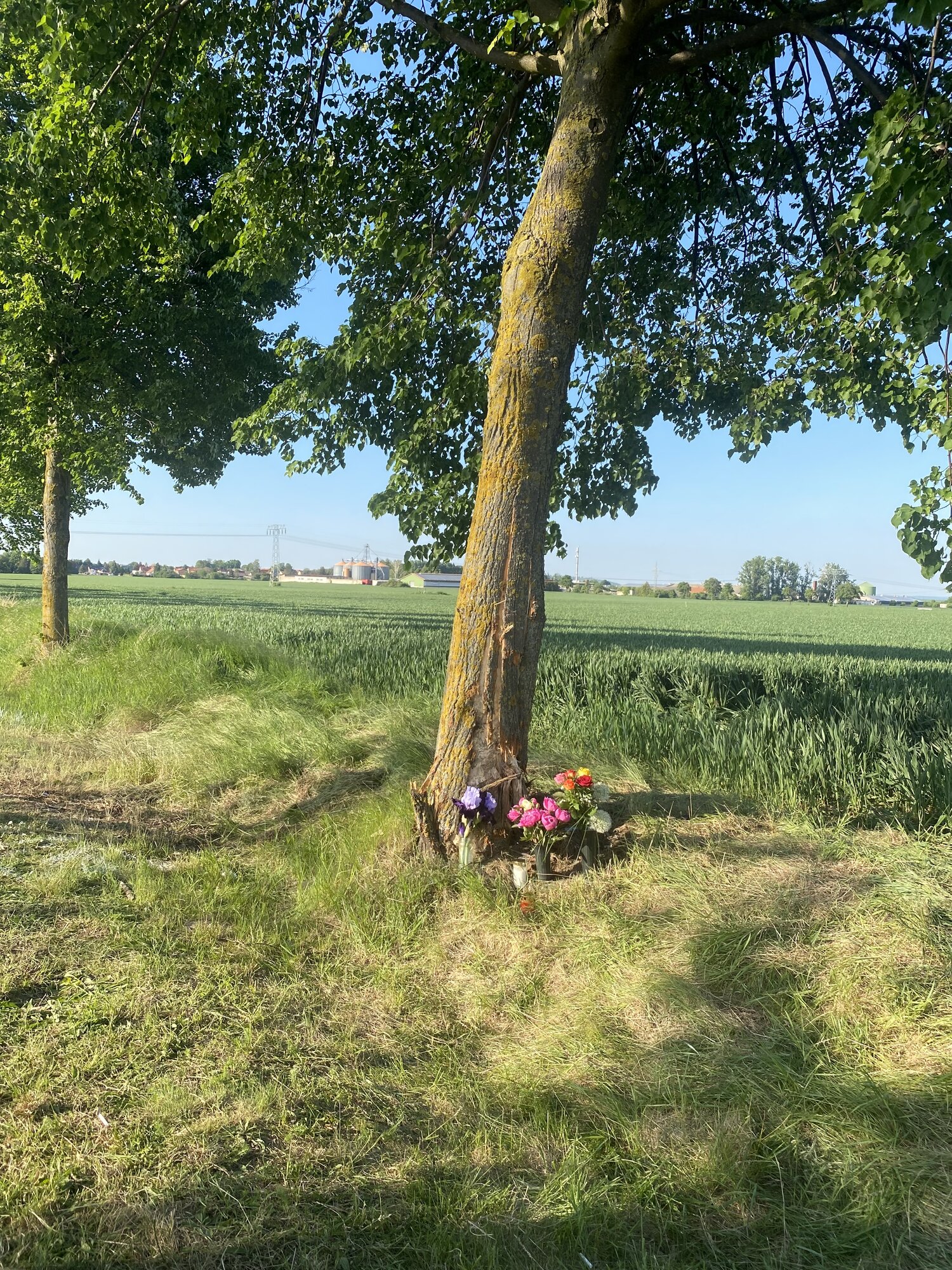 IMG_9877.jpeg
