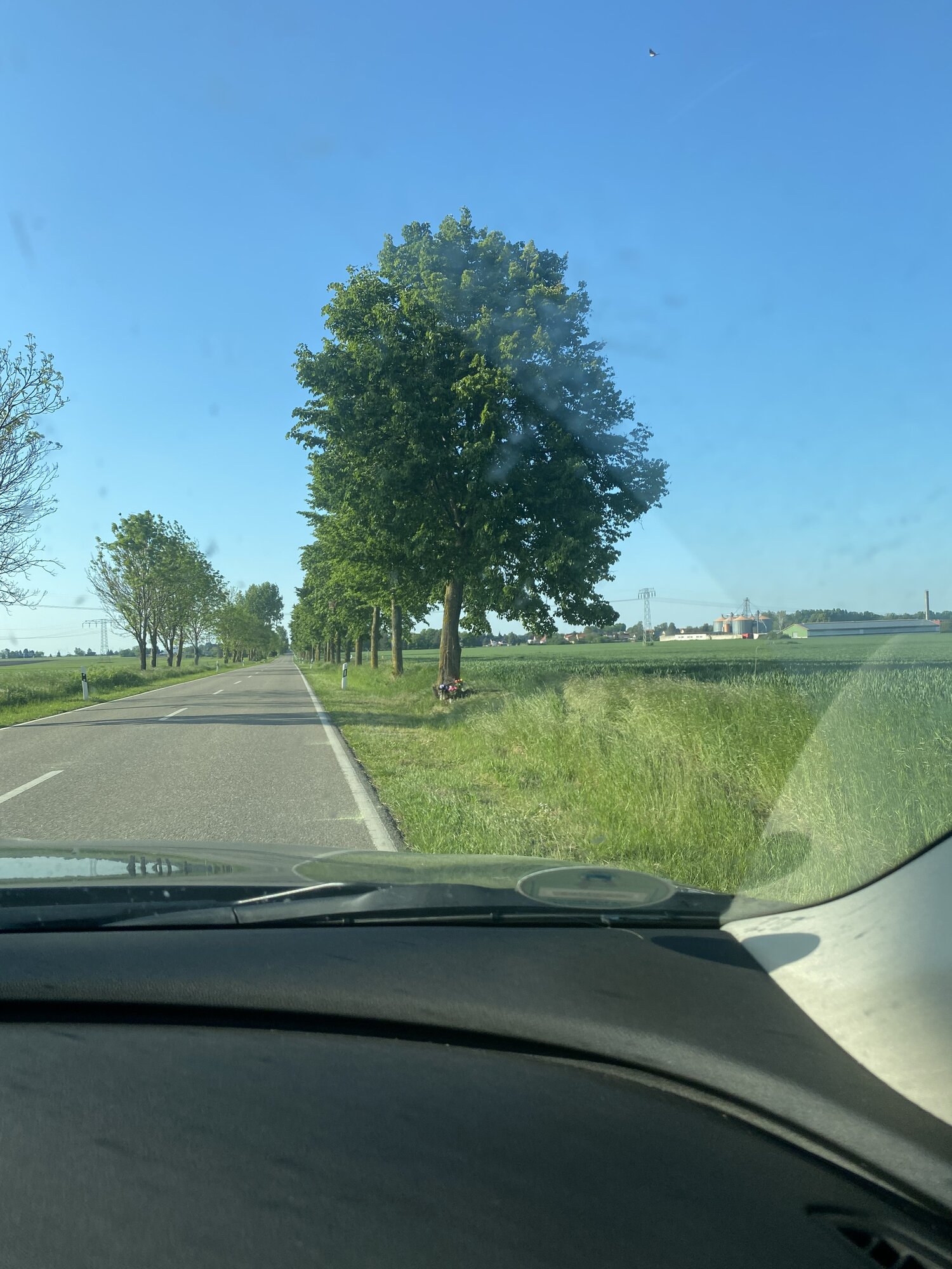 IMG_9878.jpeg