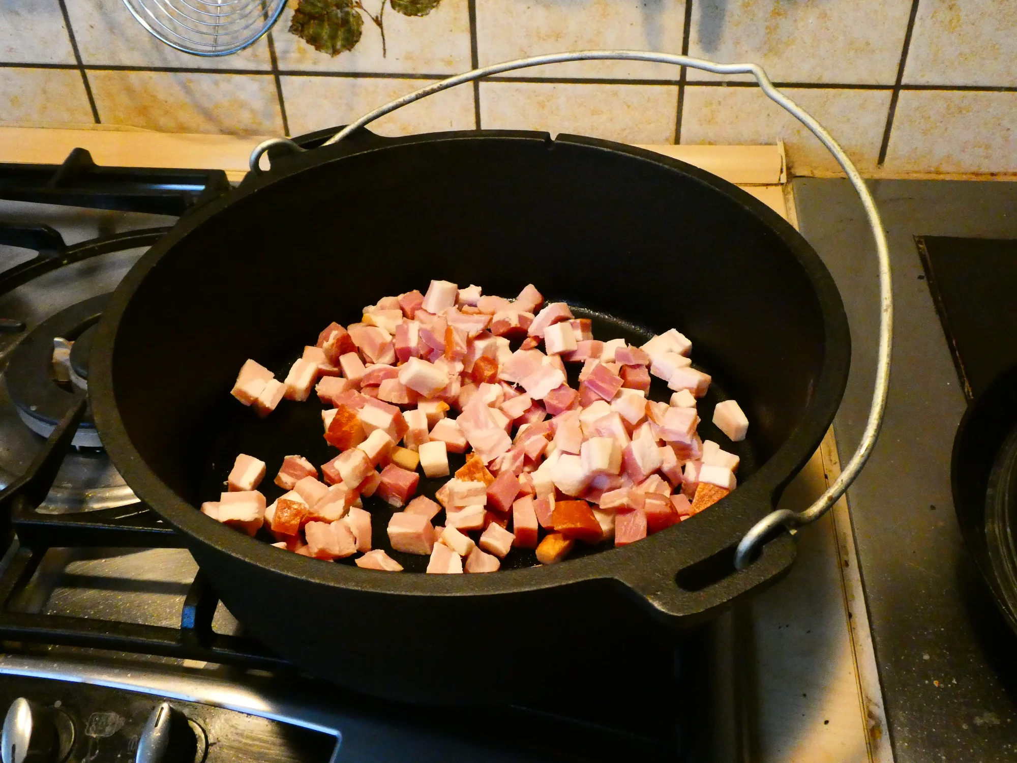 P1110537.webp