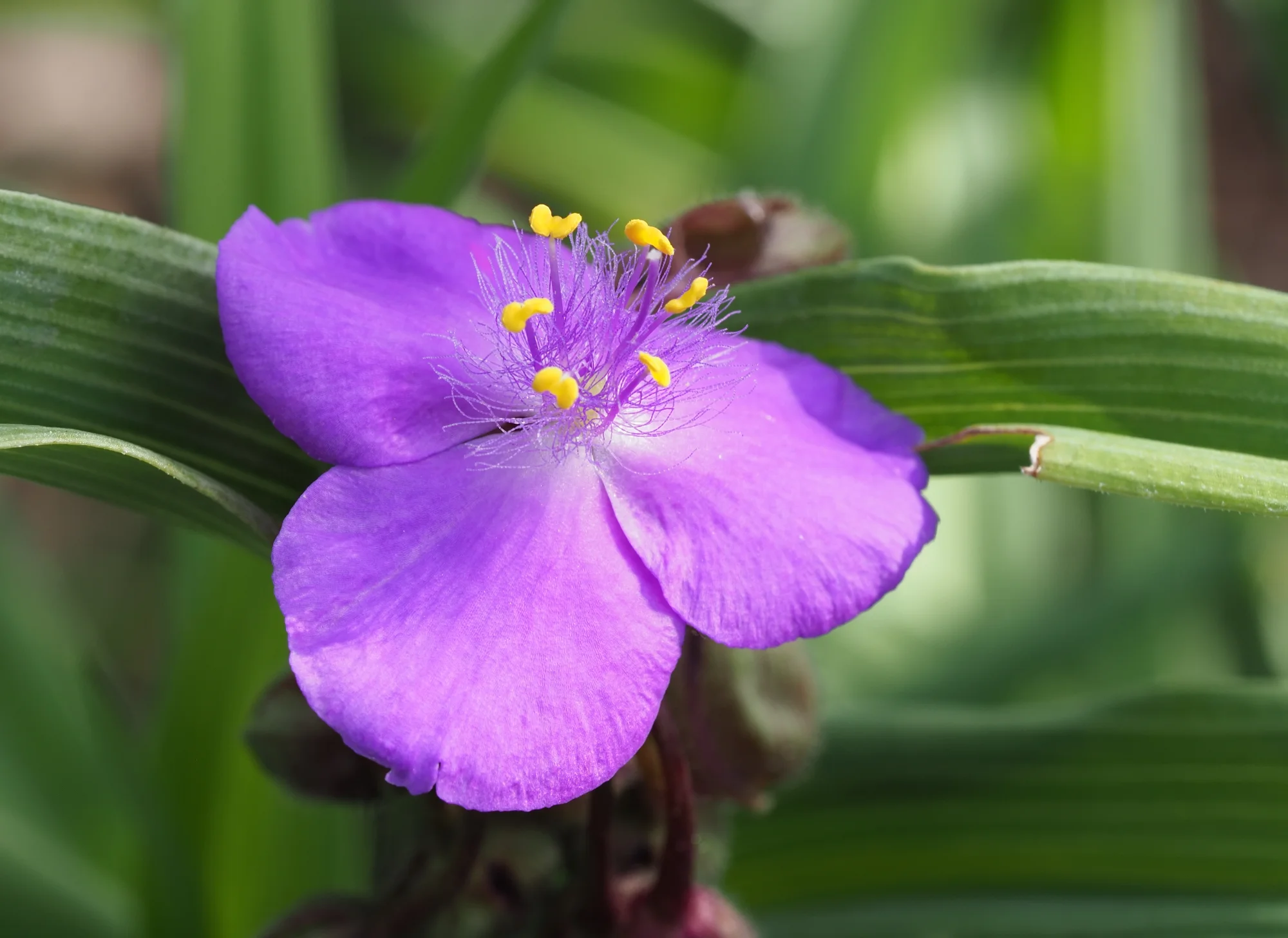 P9170384.webp