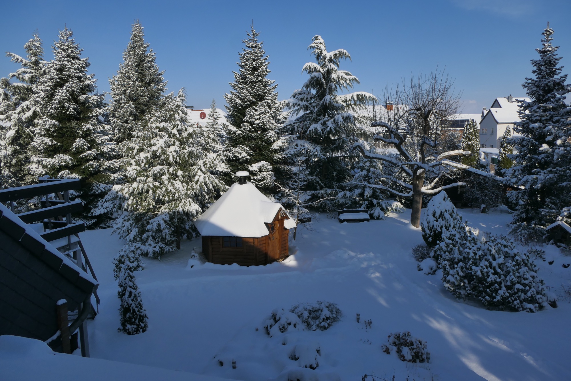 Schnee (3).jpeg