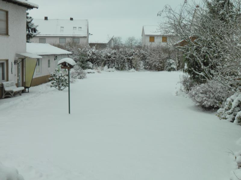 schnee1.jpeg