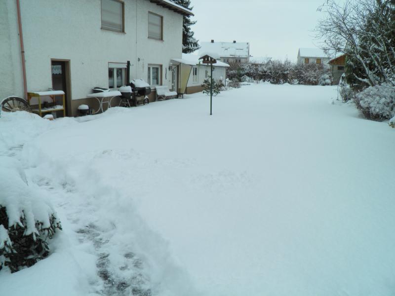 schnee2.jpeg
