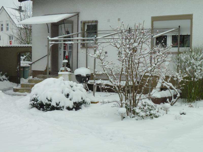 schnee3.jpeg